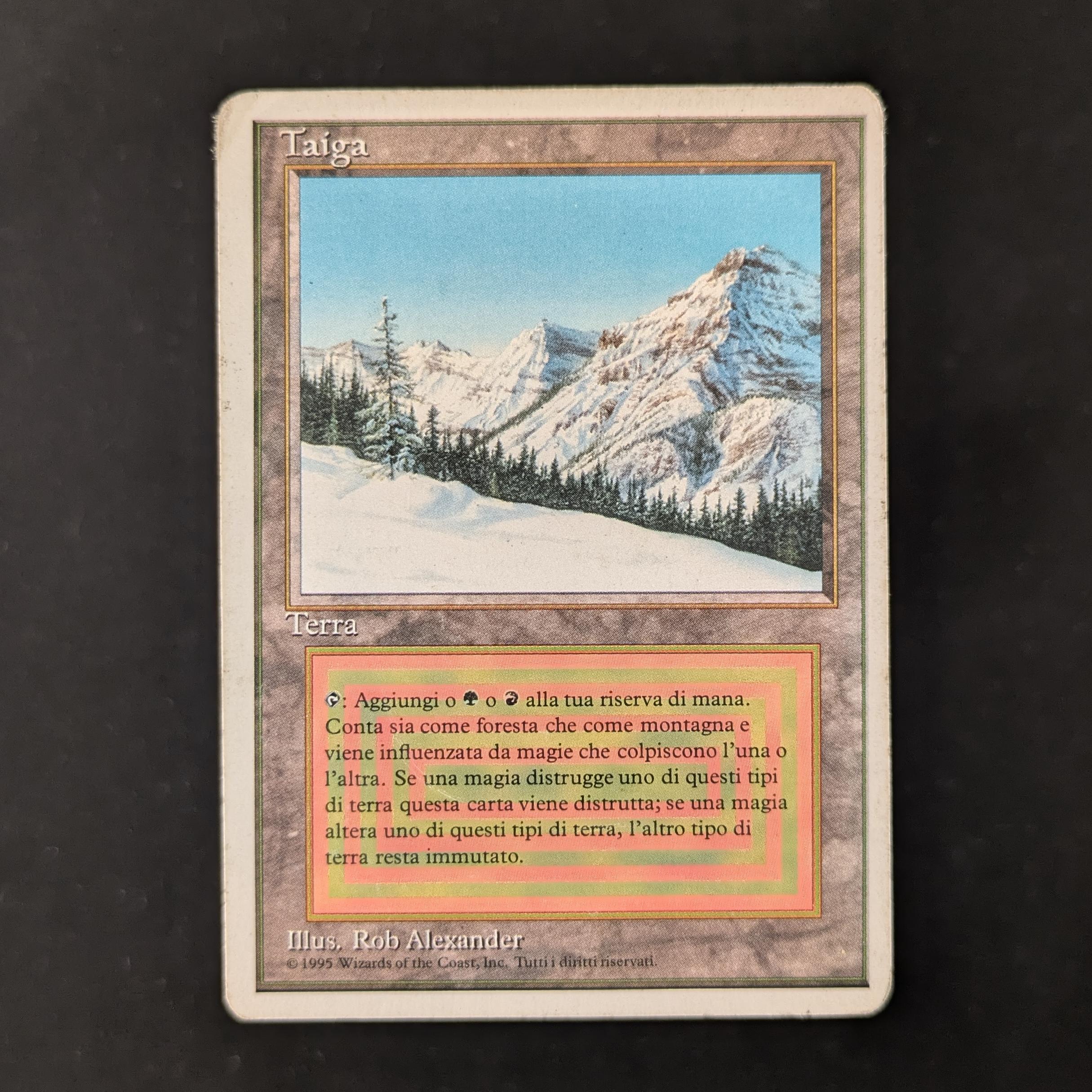 MTG Singles - Taiga - Foreign White Bordered - Italian - PO - 30238