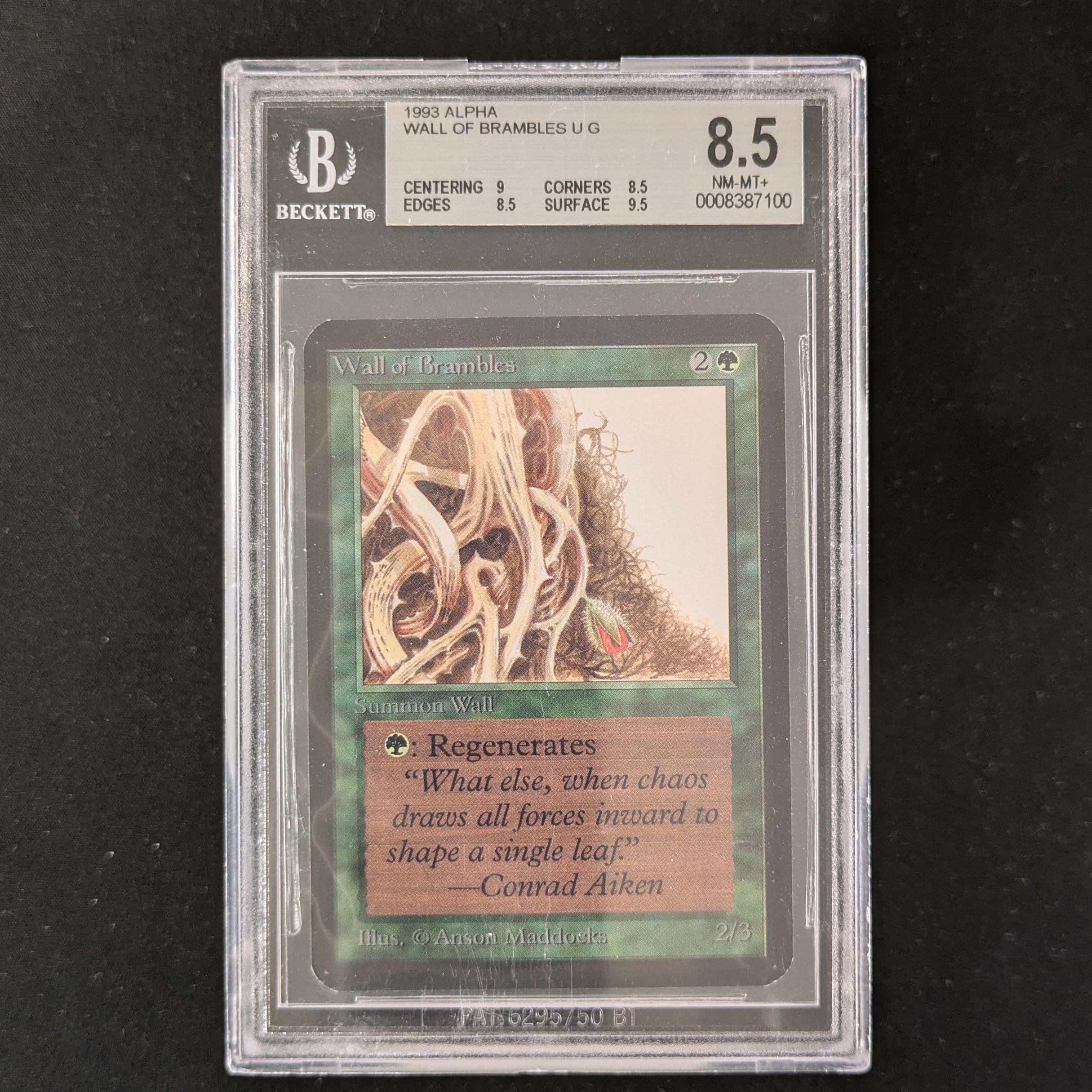 Wall of Brambles - Alpha - BGS 8.5