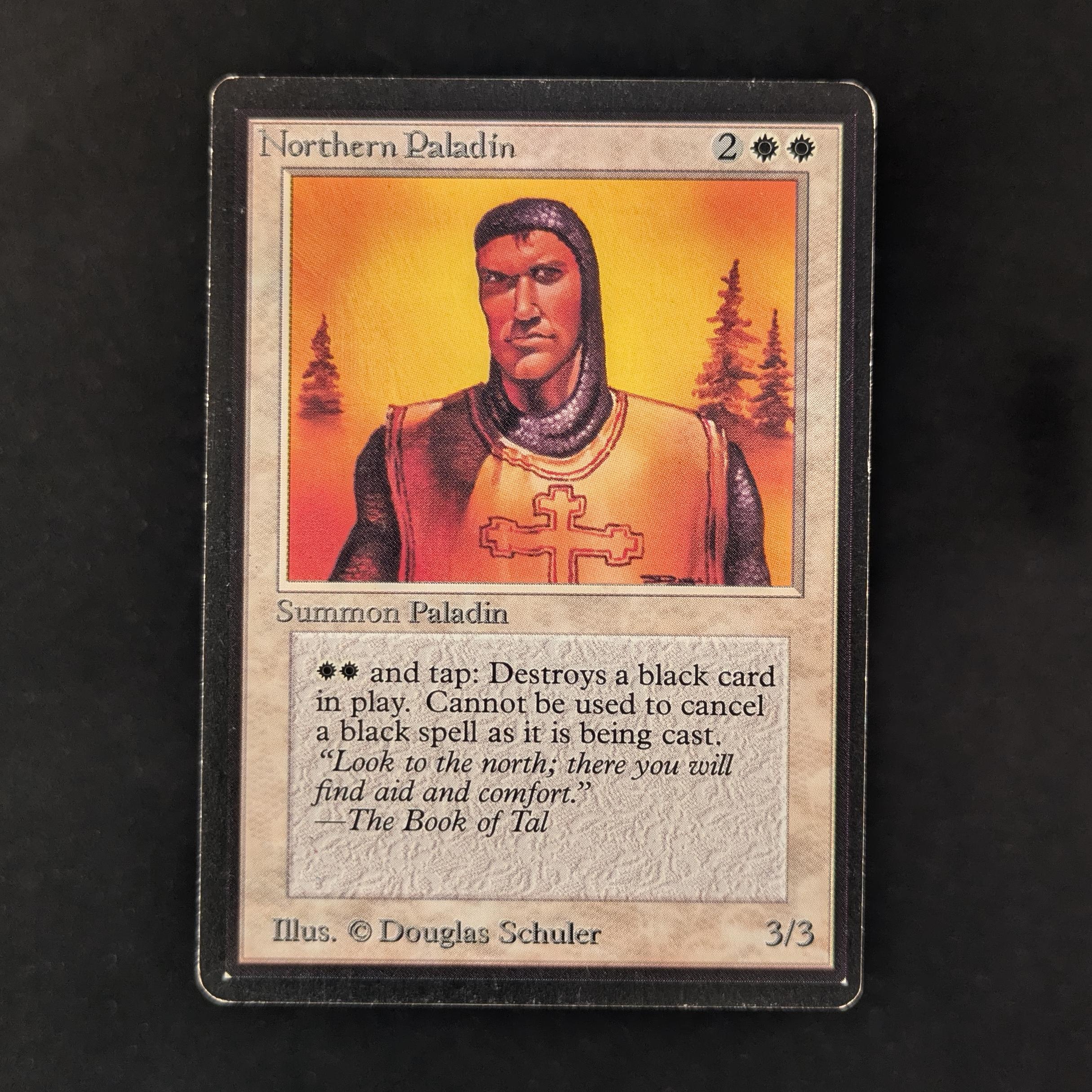 MTG Singles - Northern Paladin - Beta - GD - 30369