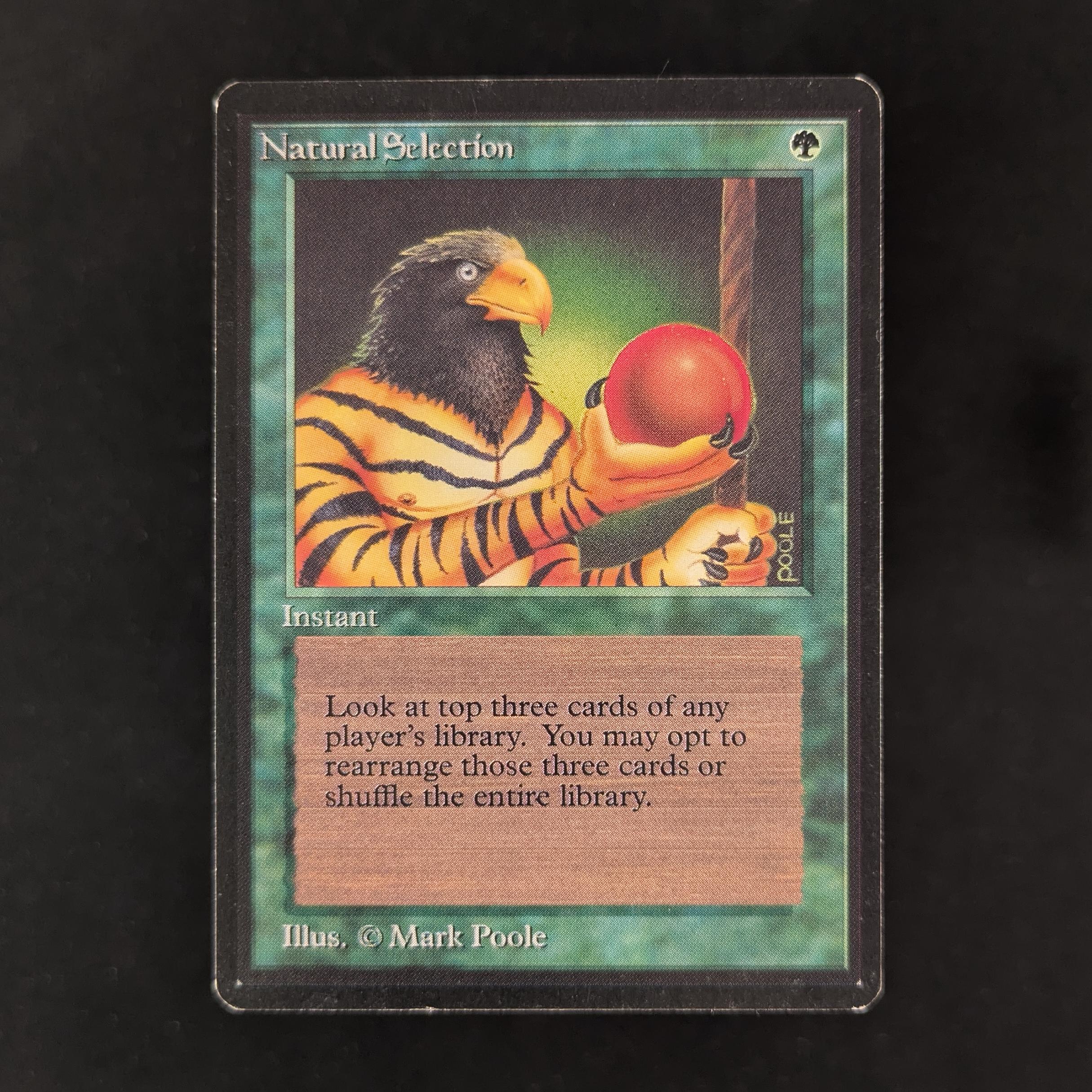 Natural Selection - Beta