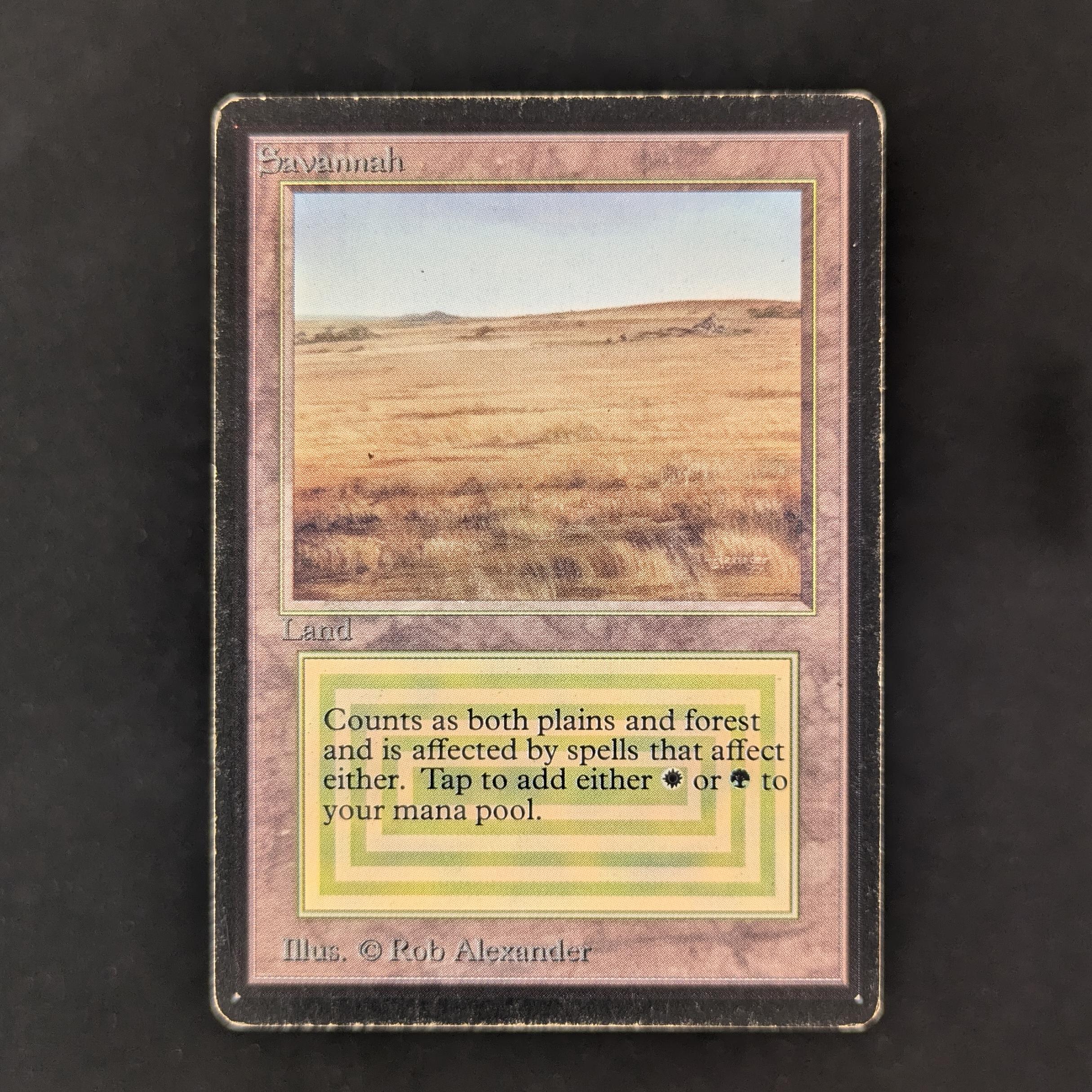 MTG Singles - Savannah - Beta - PL - 30477