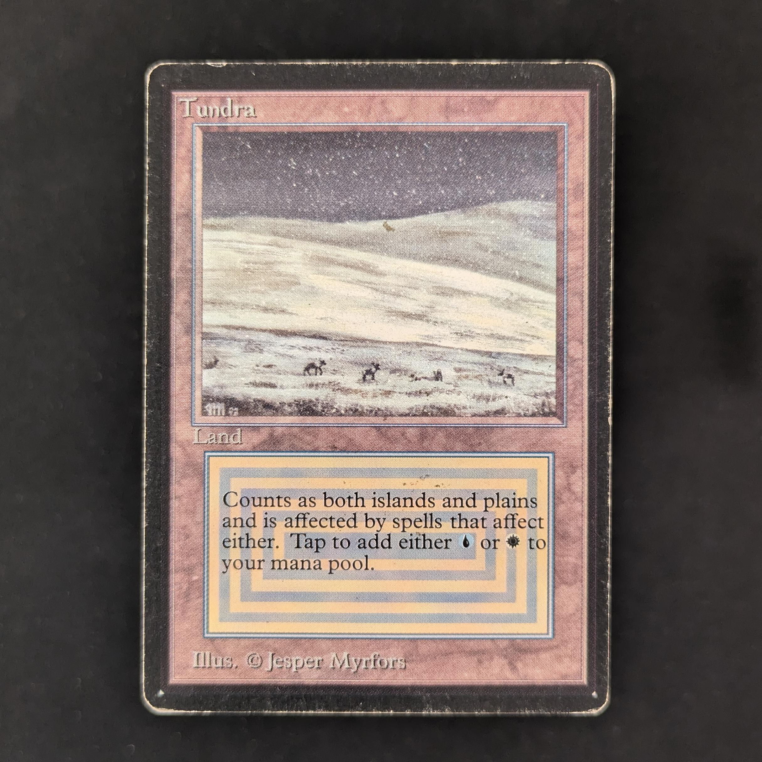 MTG Singles - Tundra - Beta - PL - 30481