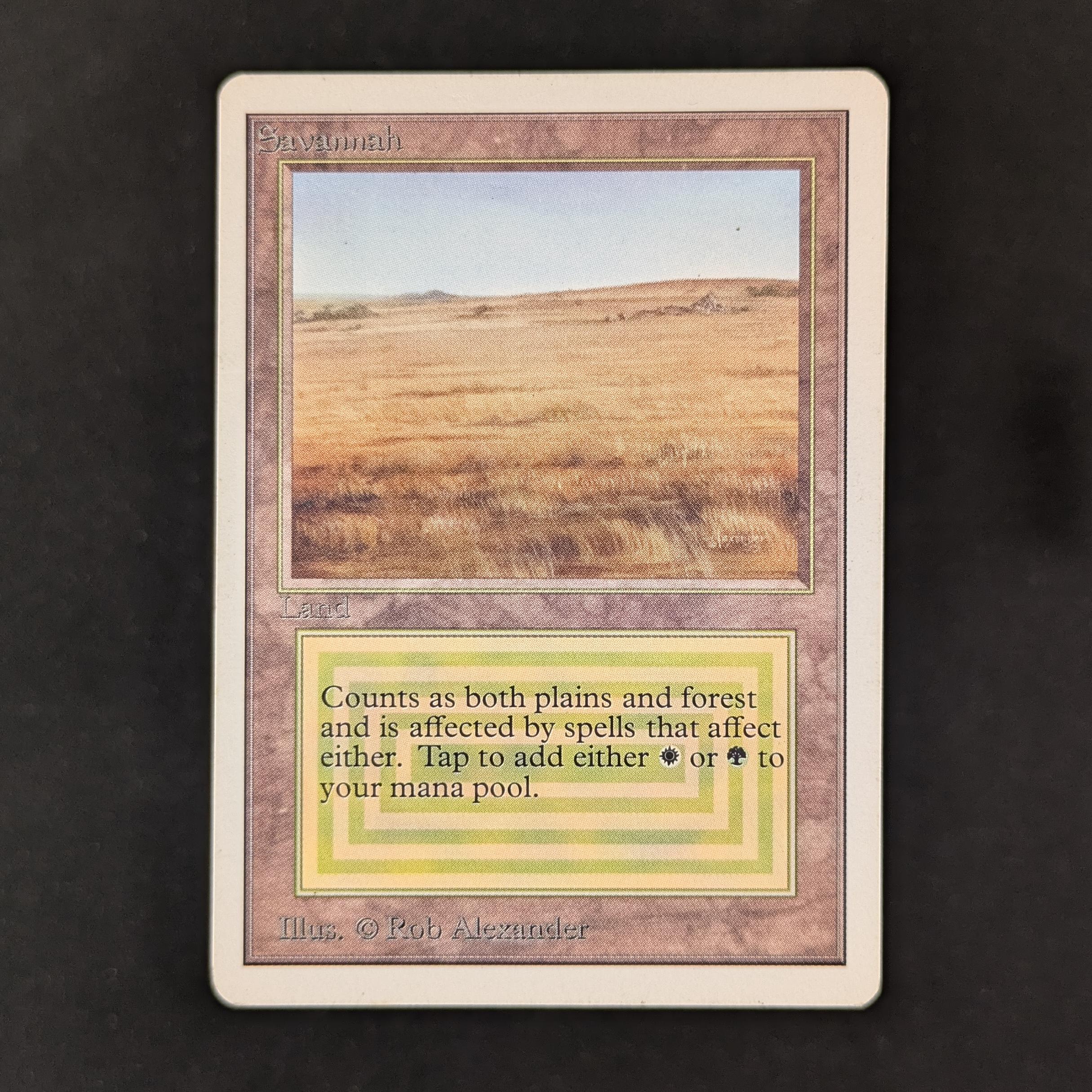 MTG Singles - Savannah - Unlimited - LP - 30493