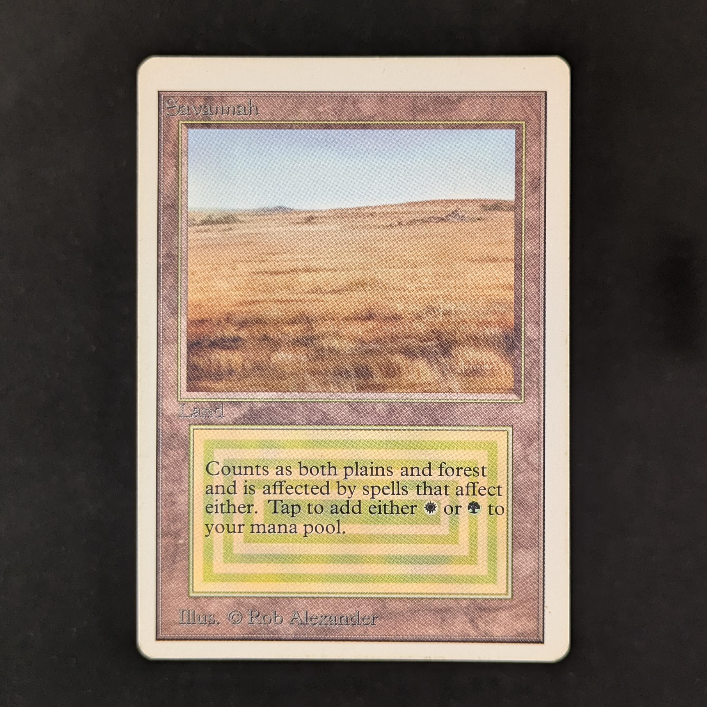 MTG Singles - Savannah - Unlimited - LP - 30494