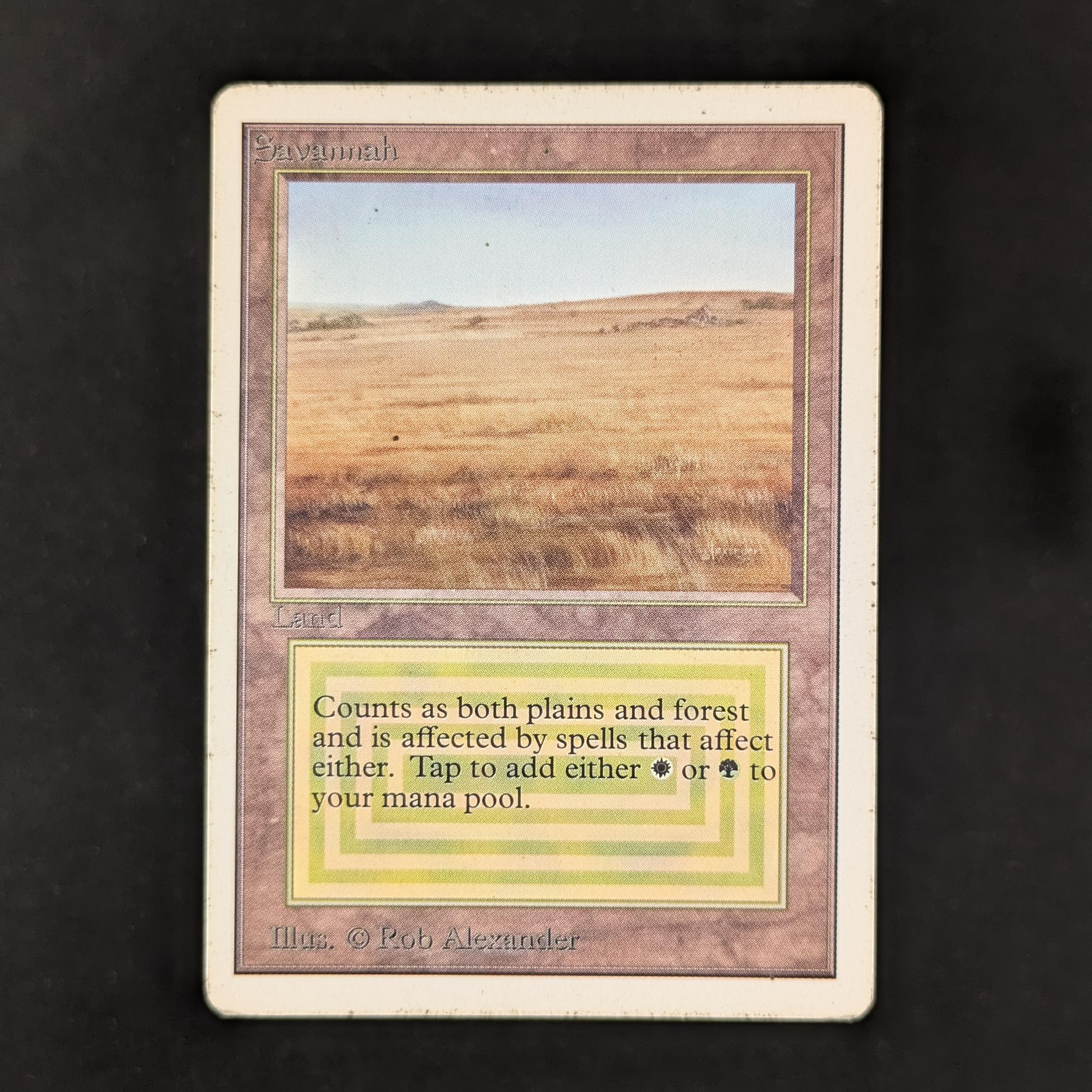 MTG Singles - Savannah - Unlimited - PL - 30495