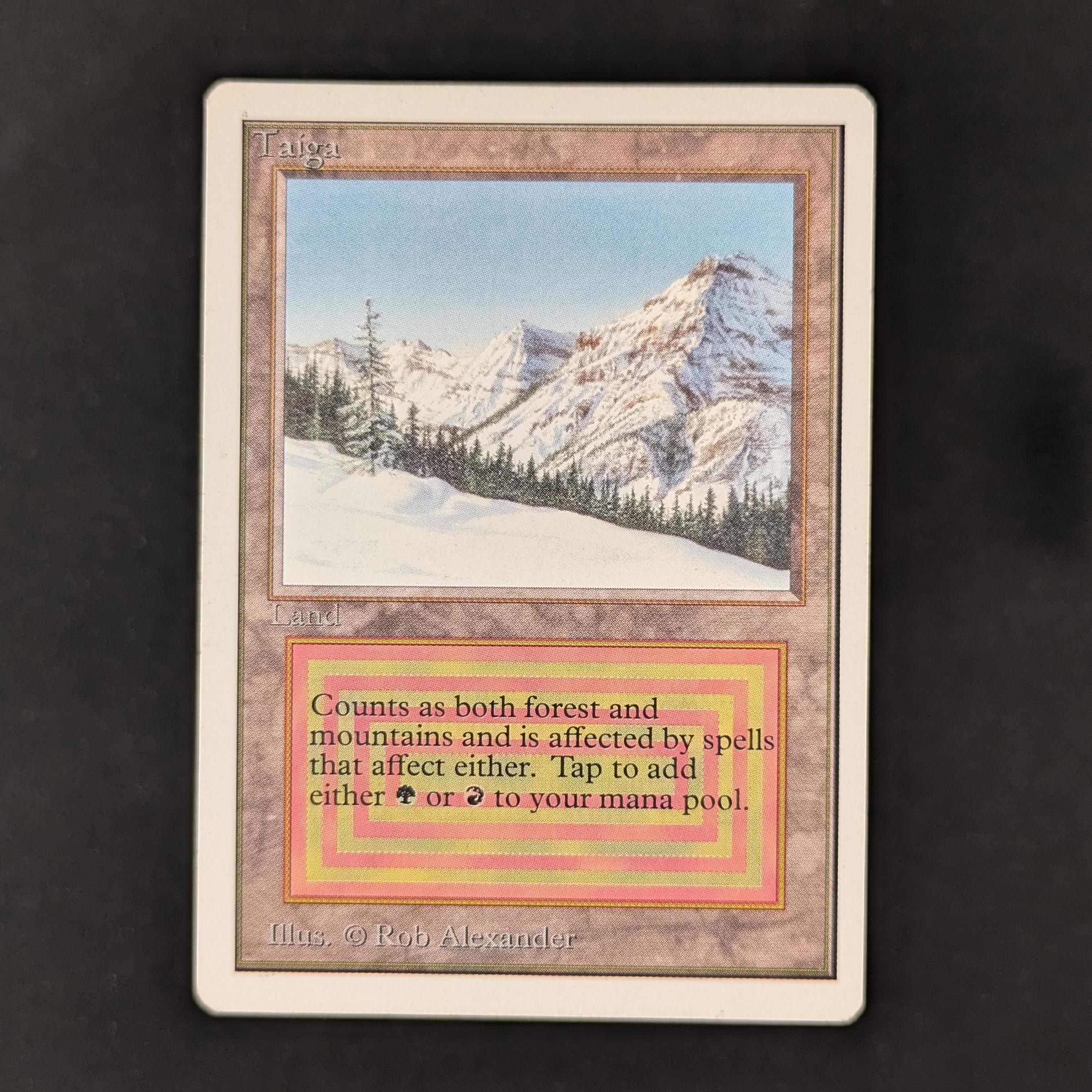 MTG Singles - Taiga - Unlimited - LP - 30496