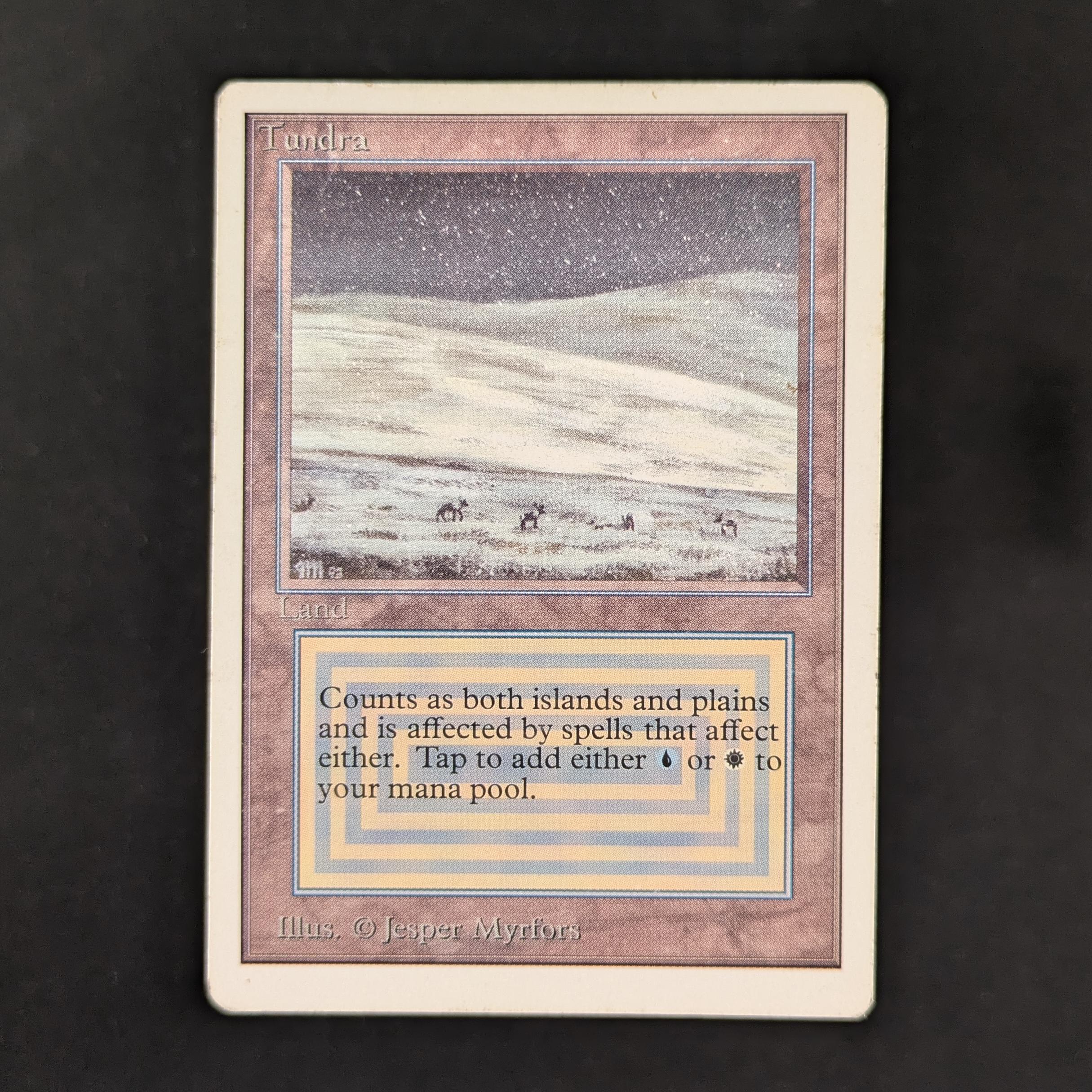 MTG Singles - Tundra - Unlimited - PL - 30504