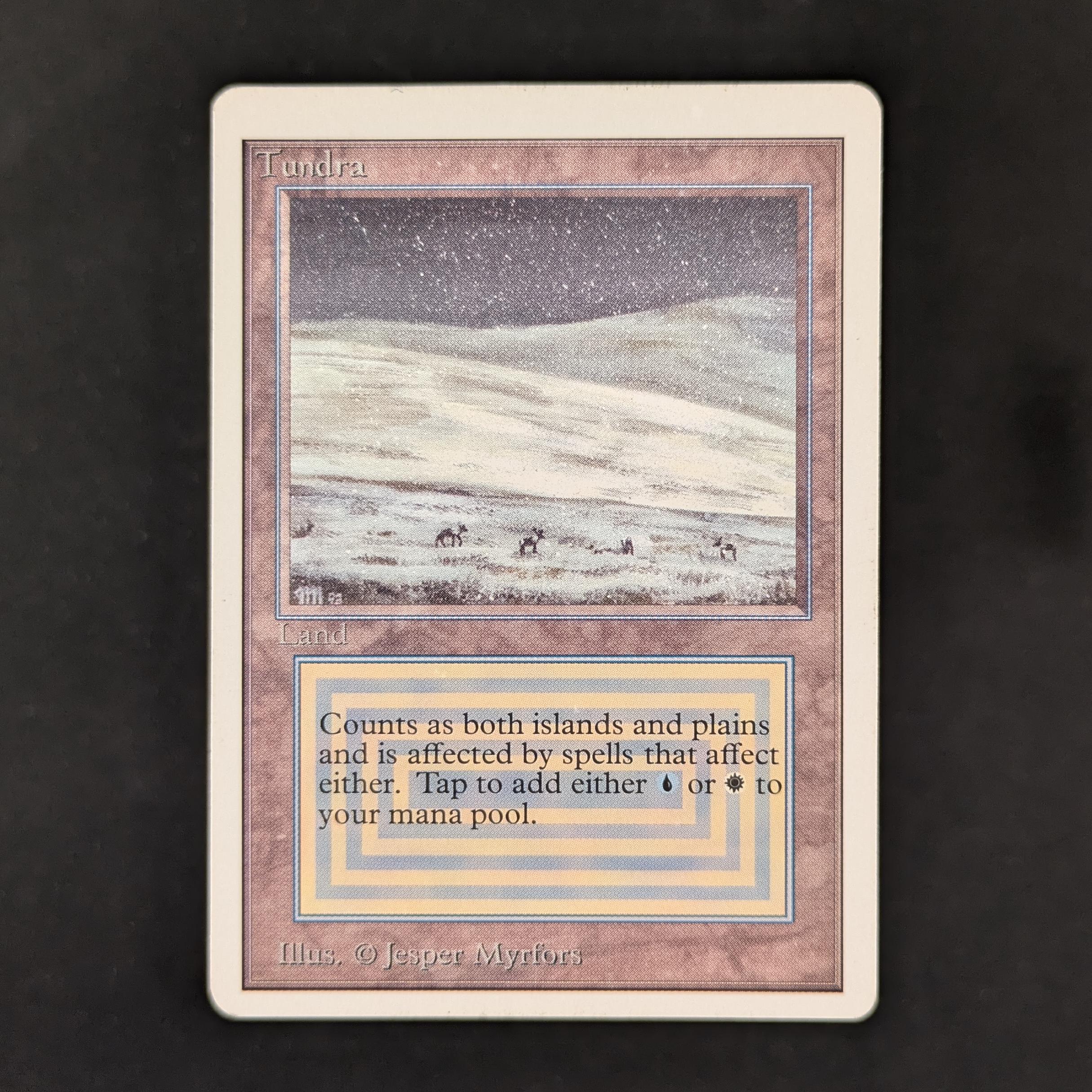 MTG Singles - Tundra - Unlimited - PL - 30505