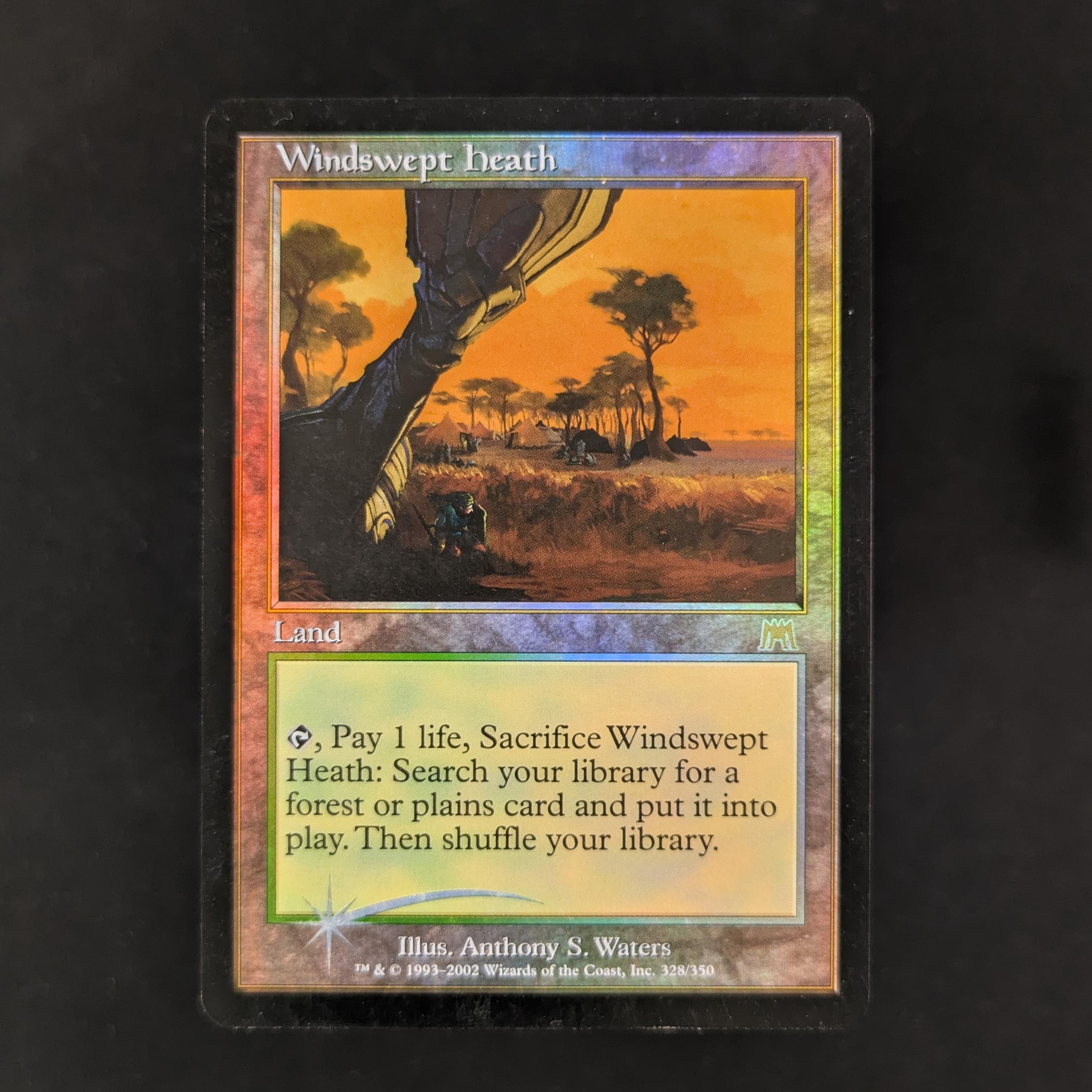 [FOIL] Windswept Heath - Onslaught - PL