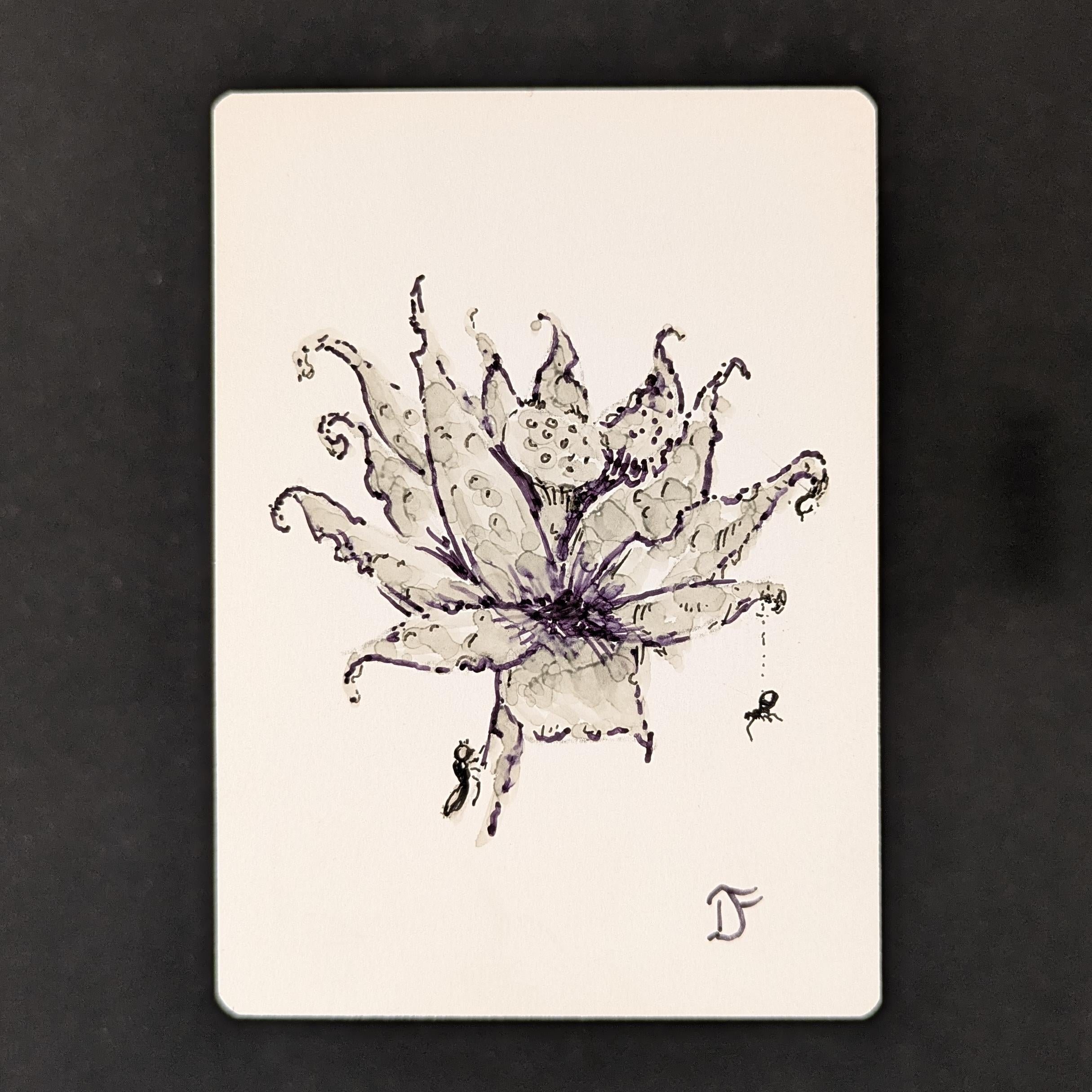 Swamp - Revised - , ARTIST PROOF, BLACK LOTUS SKETCH