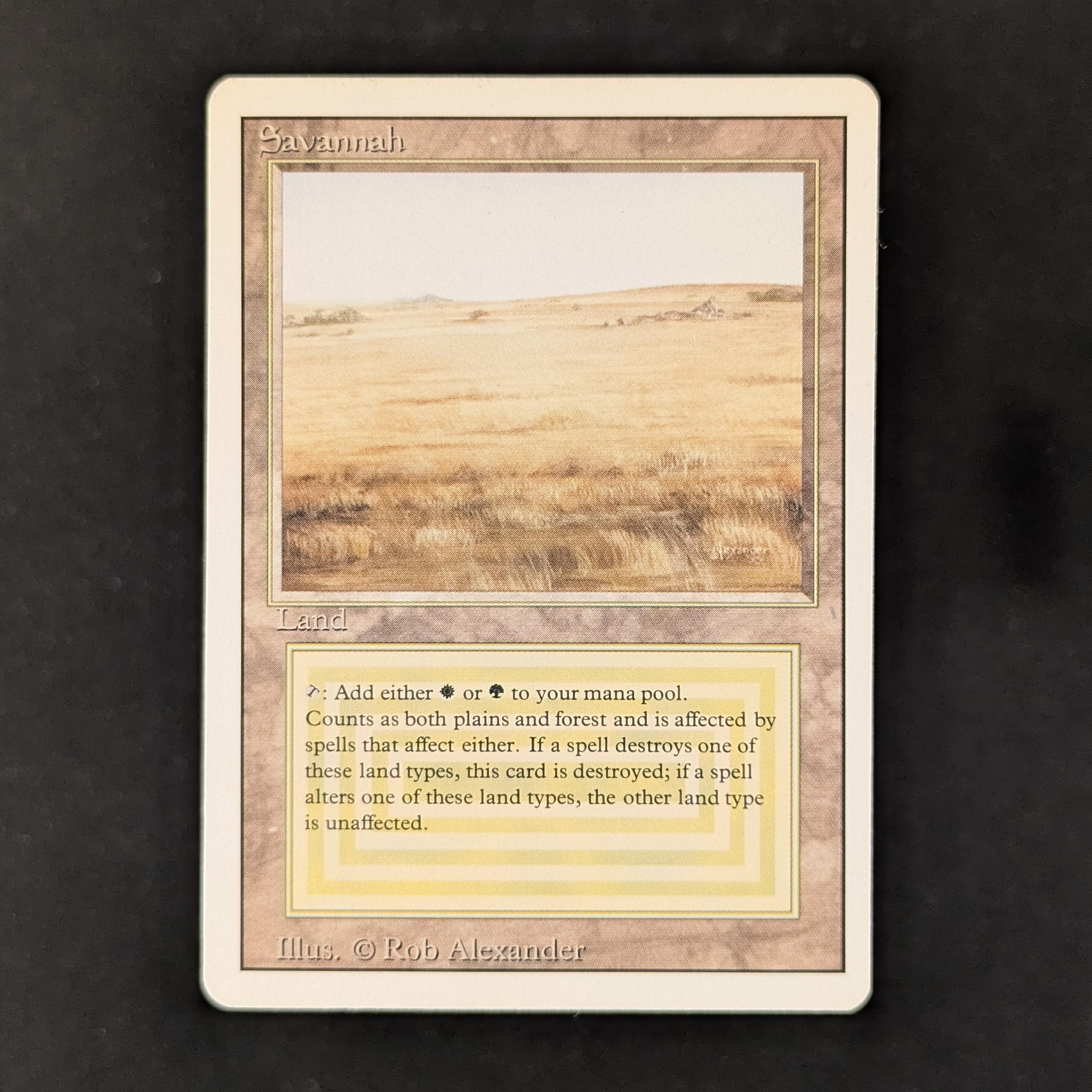 MTG Singles - Savannah - Revised - EX - 30637