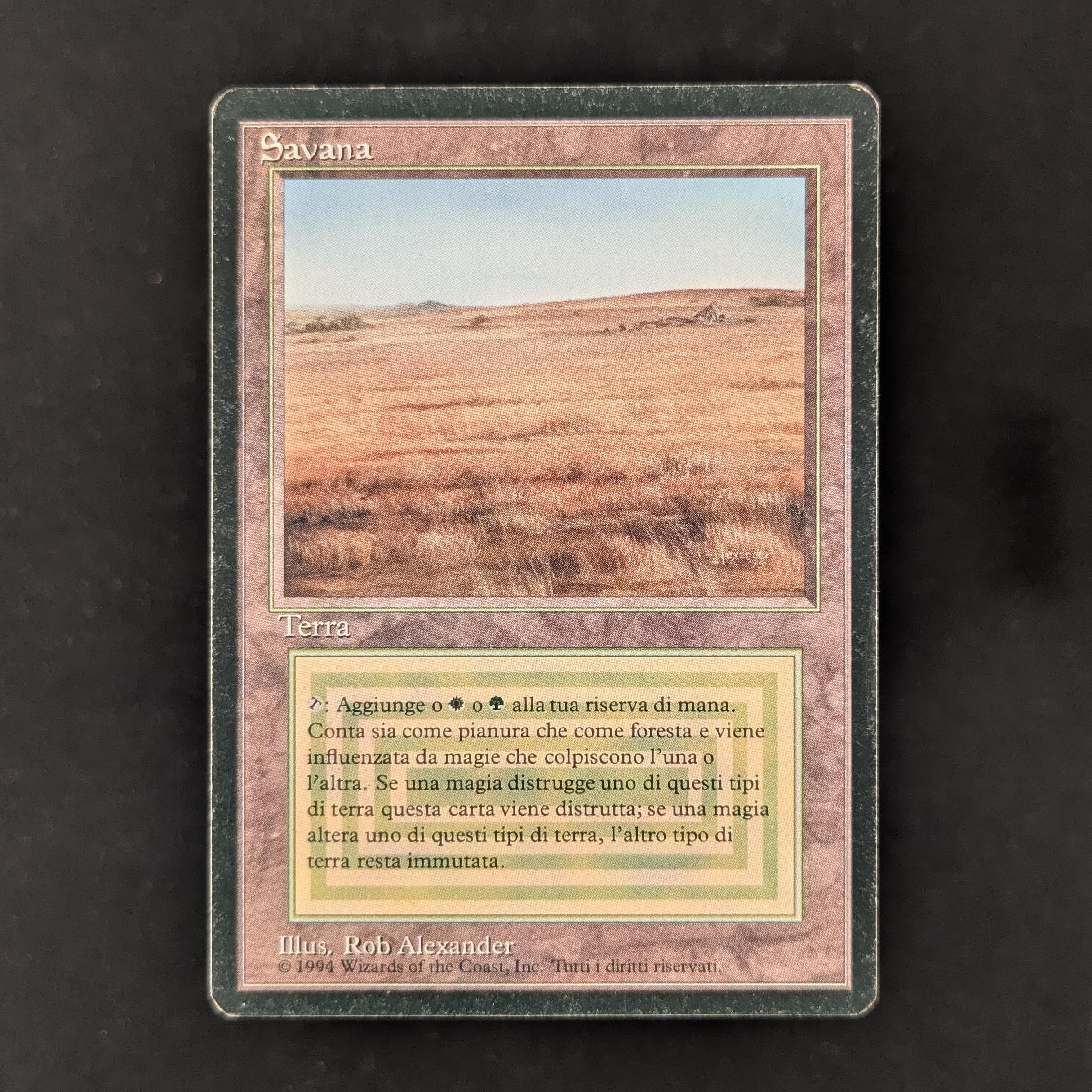 MTG Singles - Savannah - Foreign Black Bordered - Italian - LP - 30649