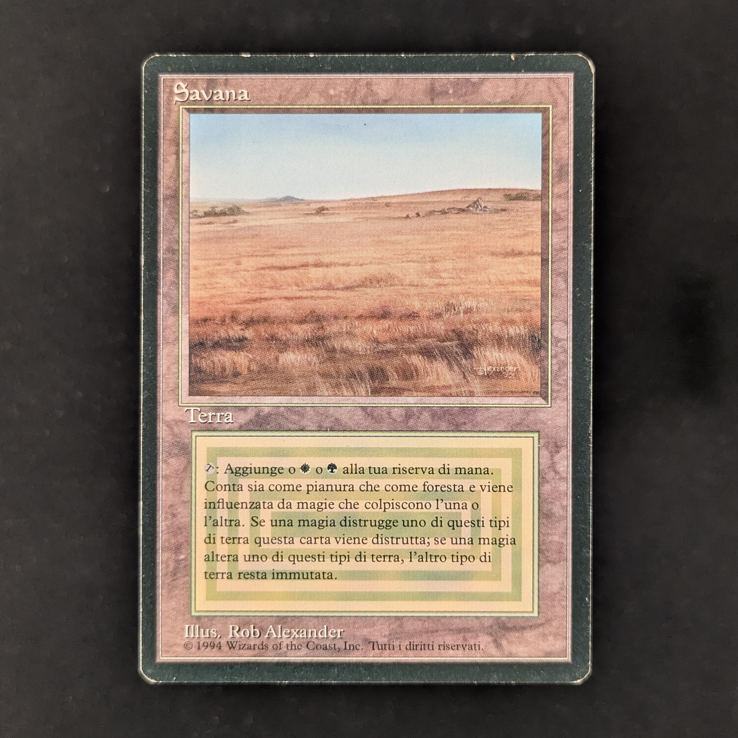 MTG Singles - Savannah - Foreign Black Bordered - Italian - LP - 30650