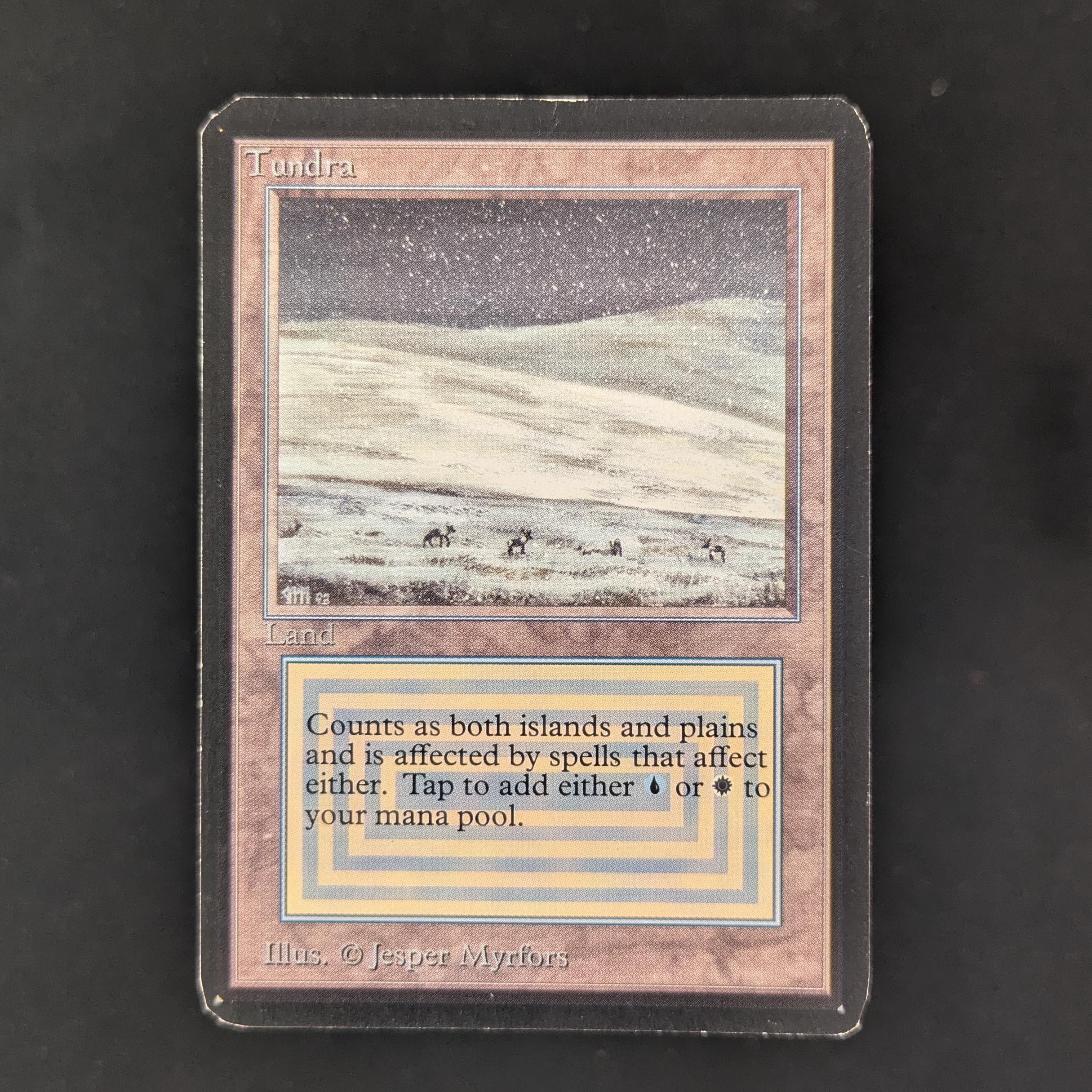 MTG Singles - Tundra - International Edition - PO - CLIPPED - 30800