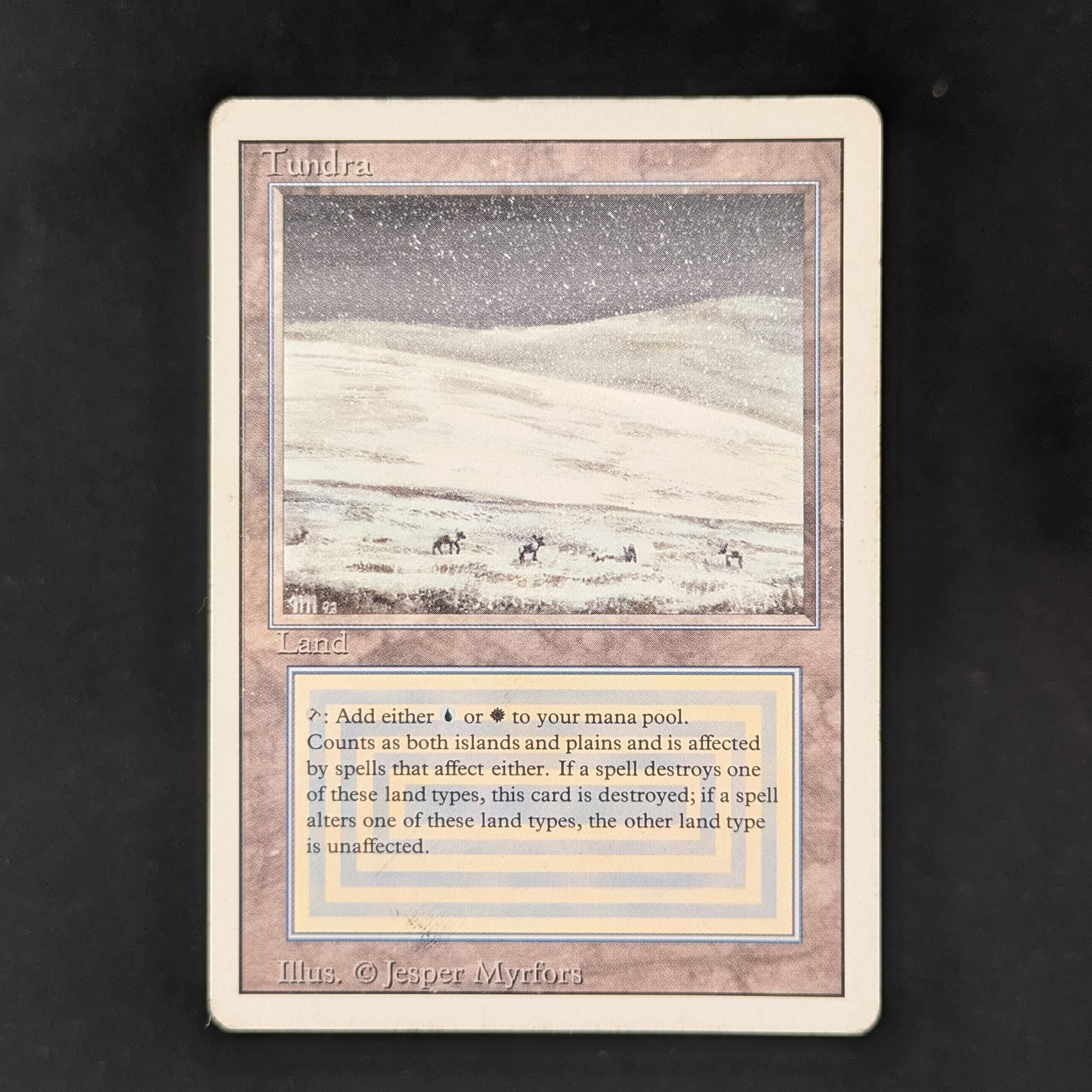 MTG Singles - Tundra - Revised - PL - 30802