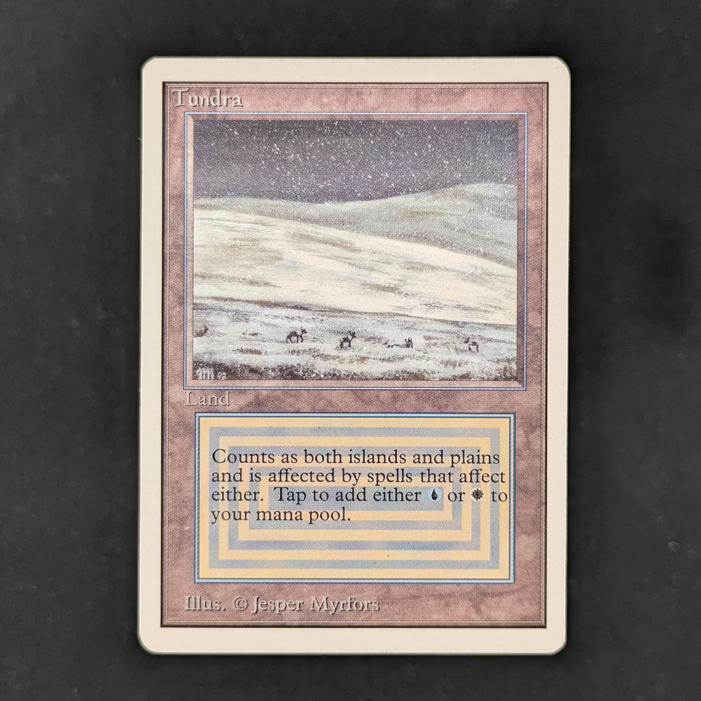 MTG Singles - Tundra - Unlimited - LP - 30851