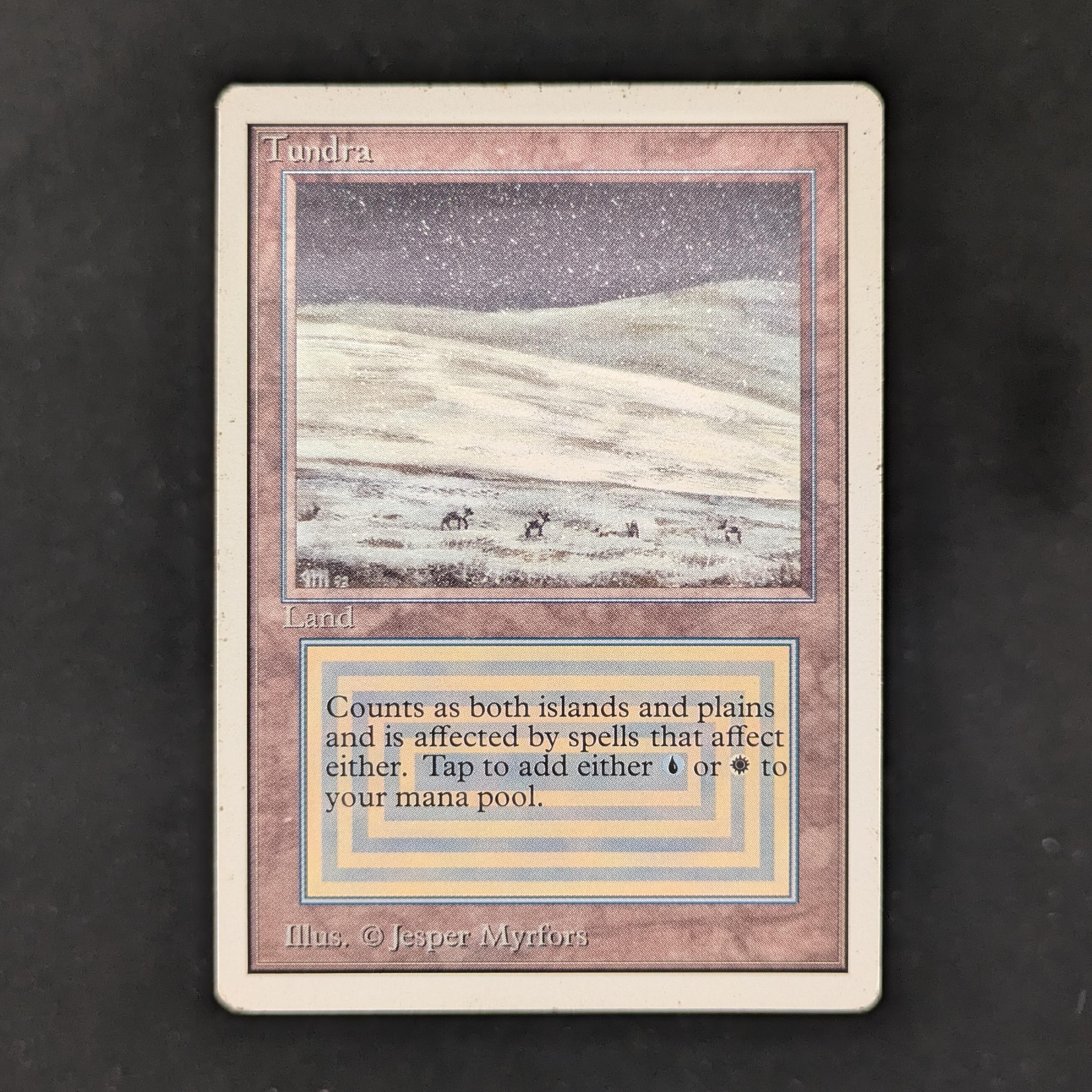 MTG Singles - Tundra - Unlimited - LP - 30852