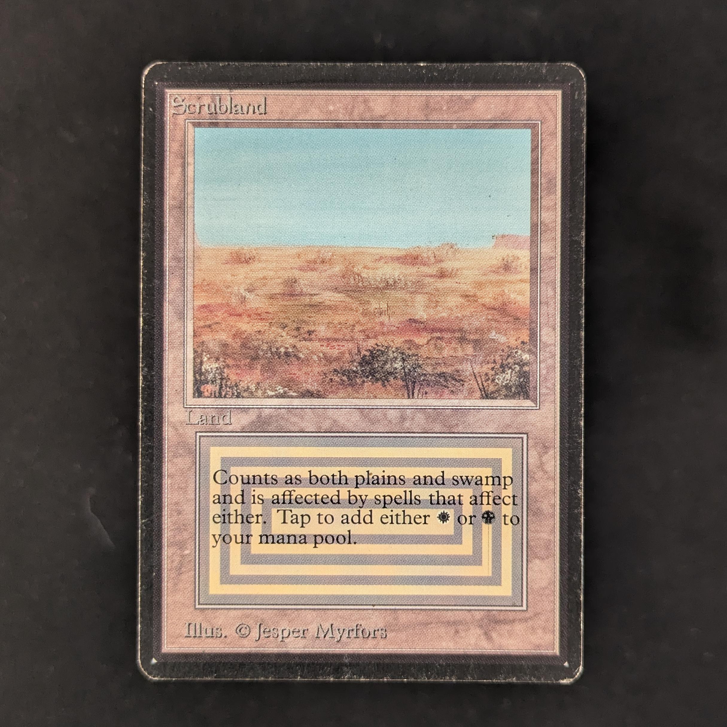 MTG Singles - Scrubland - Beta - PL - INKED - 31018