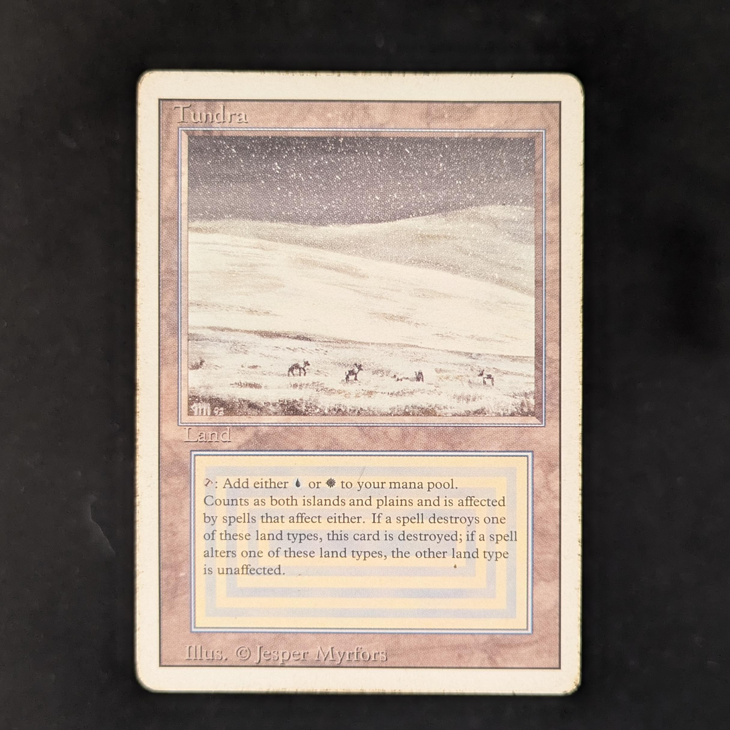 MTG Singles - Tundra - Revised - PL - 31021