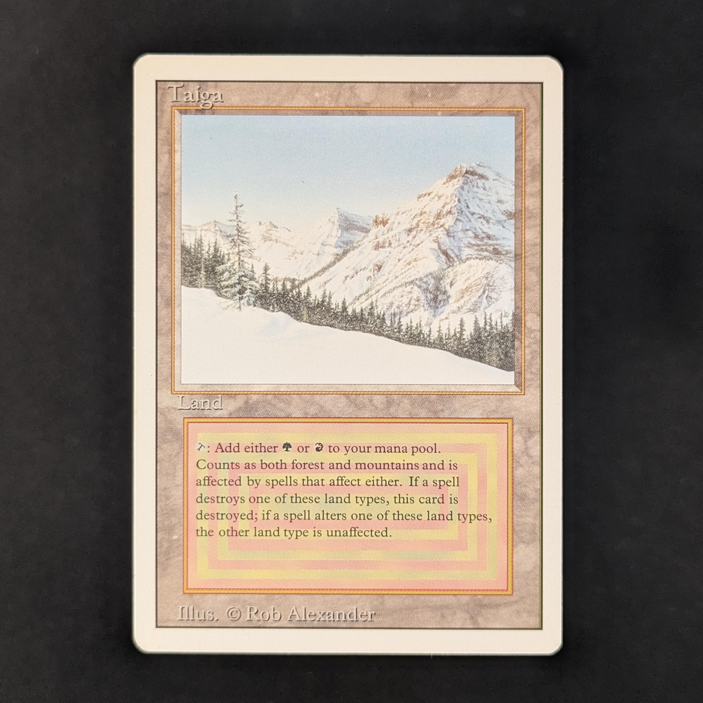 MTG Singles - Taiga - Revised - NM - 31054