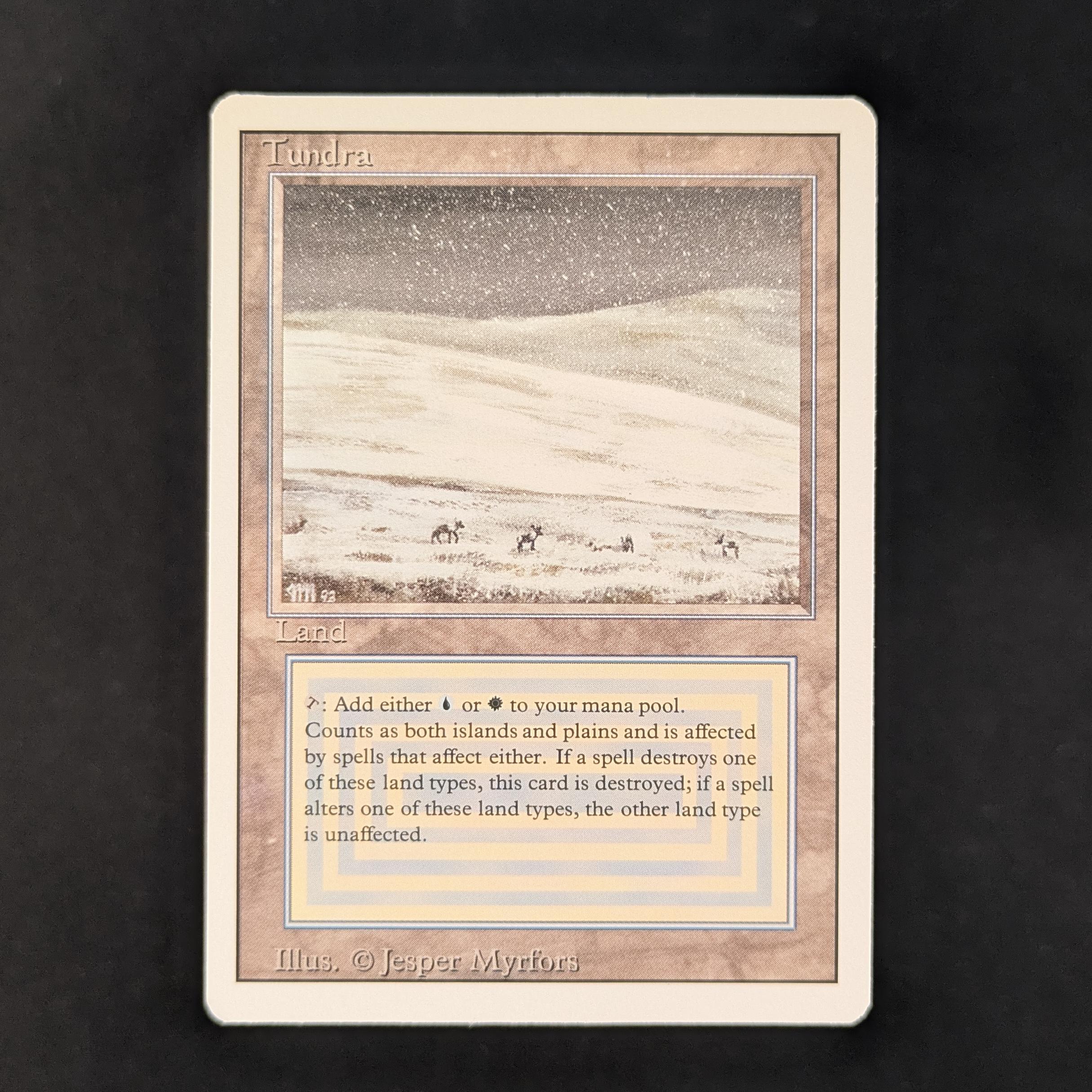 MTG Singles - Tundra - Revised - 