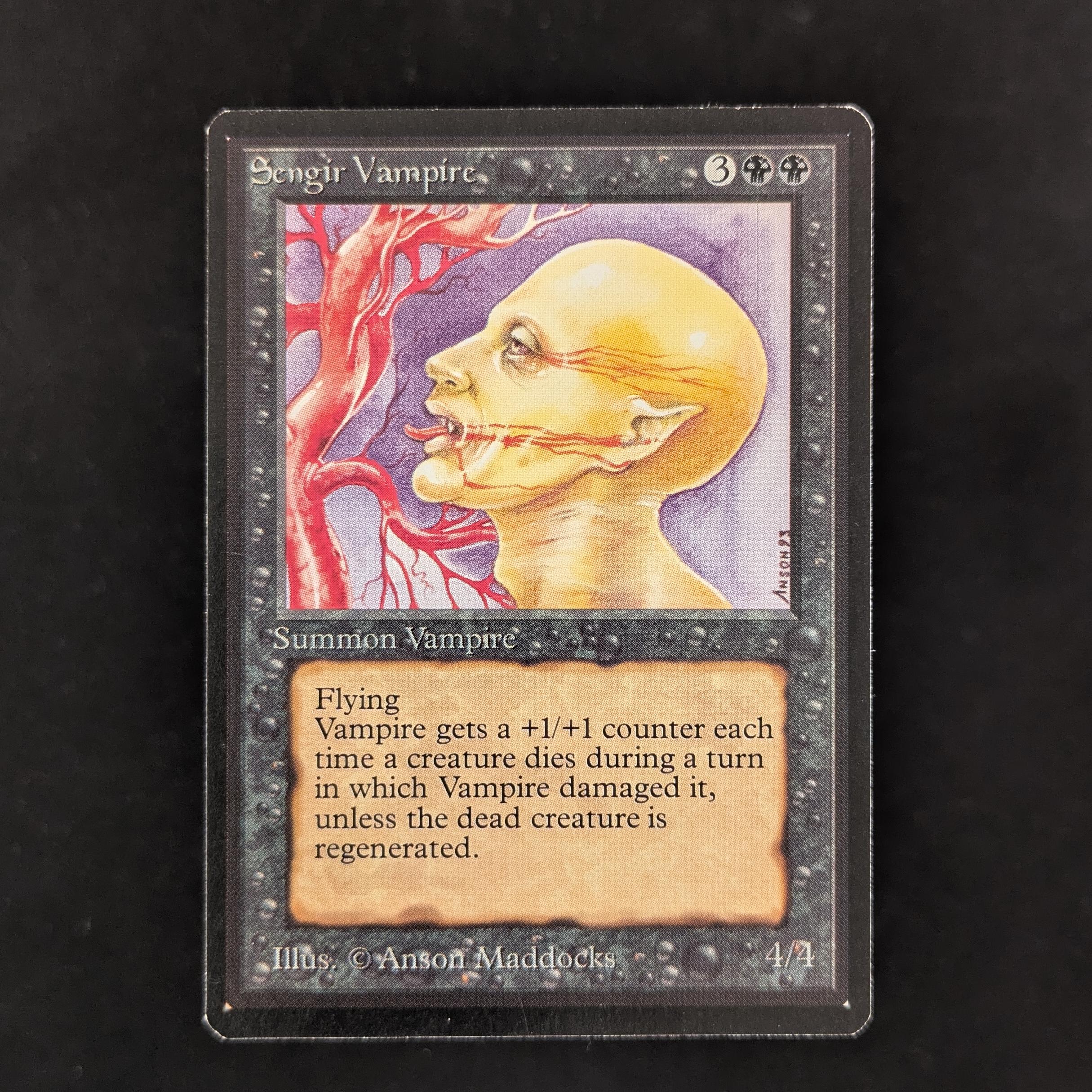 MTG Singles - Sengir Vampire - Beta - NM - 31127