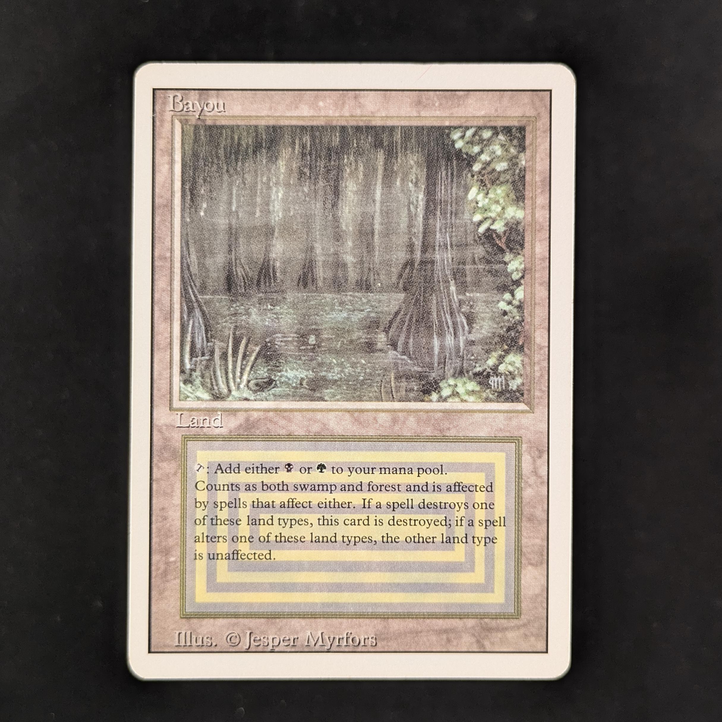 31137_1.jpg?v=1770816410&width