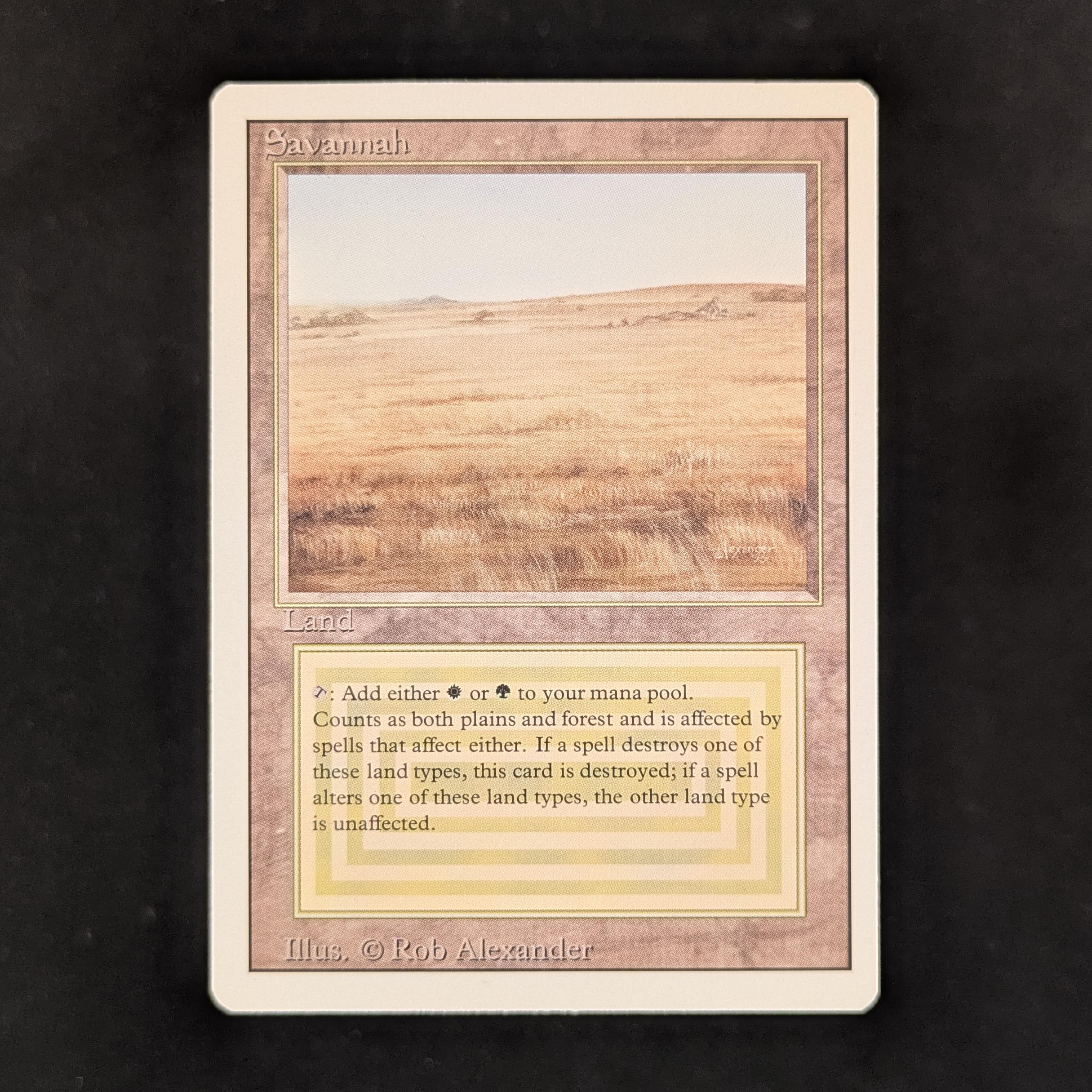 MTG Singles - Savannah - Revised - NM - 31139