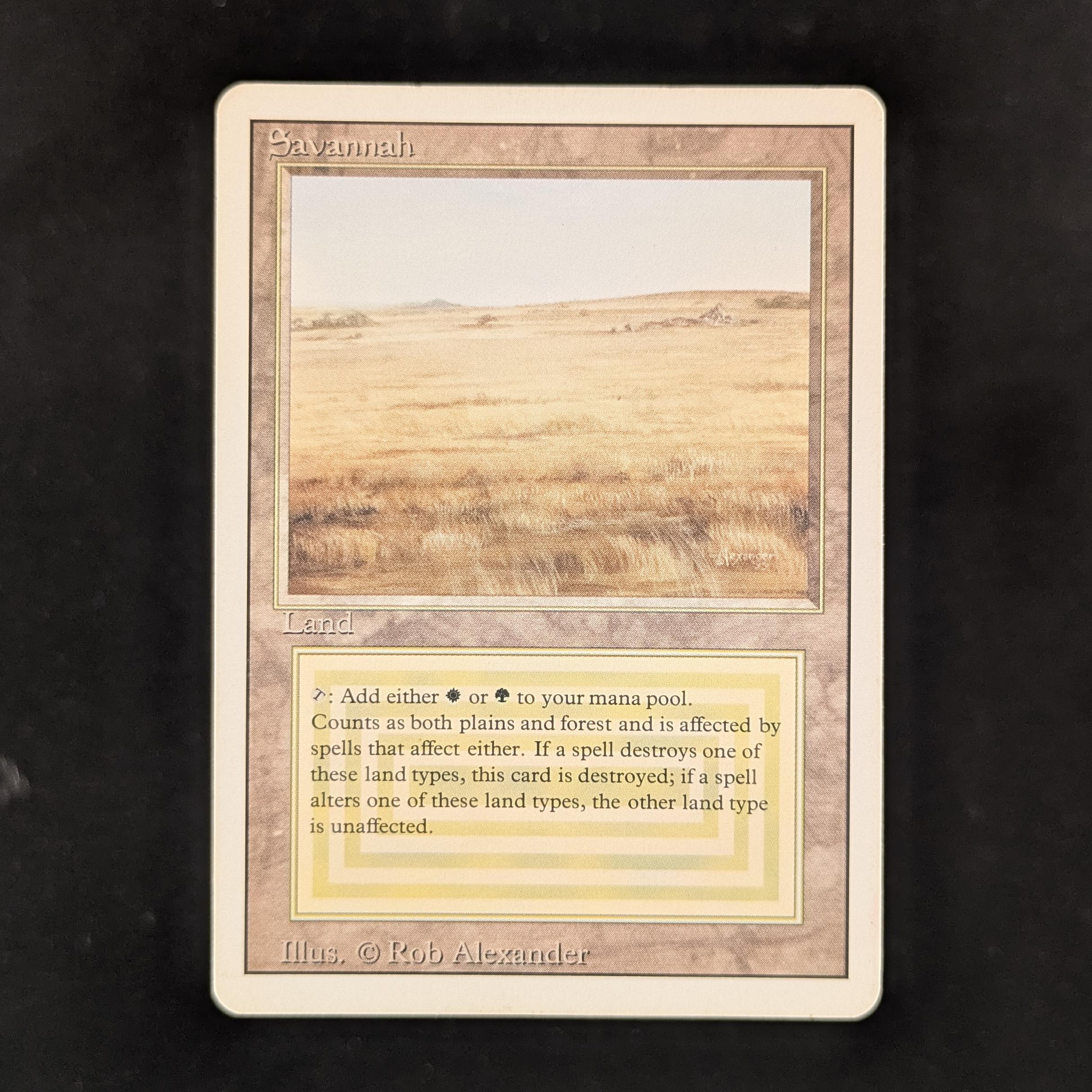 MTG Singles - Savannah - Revised - PL - 31140