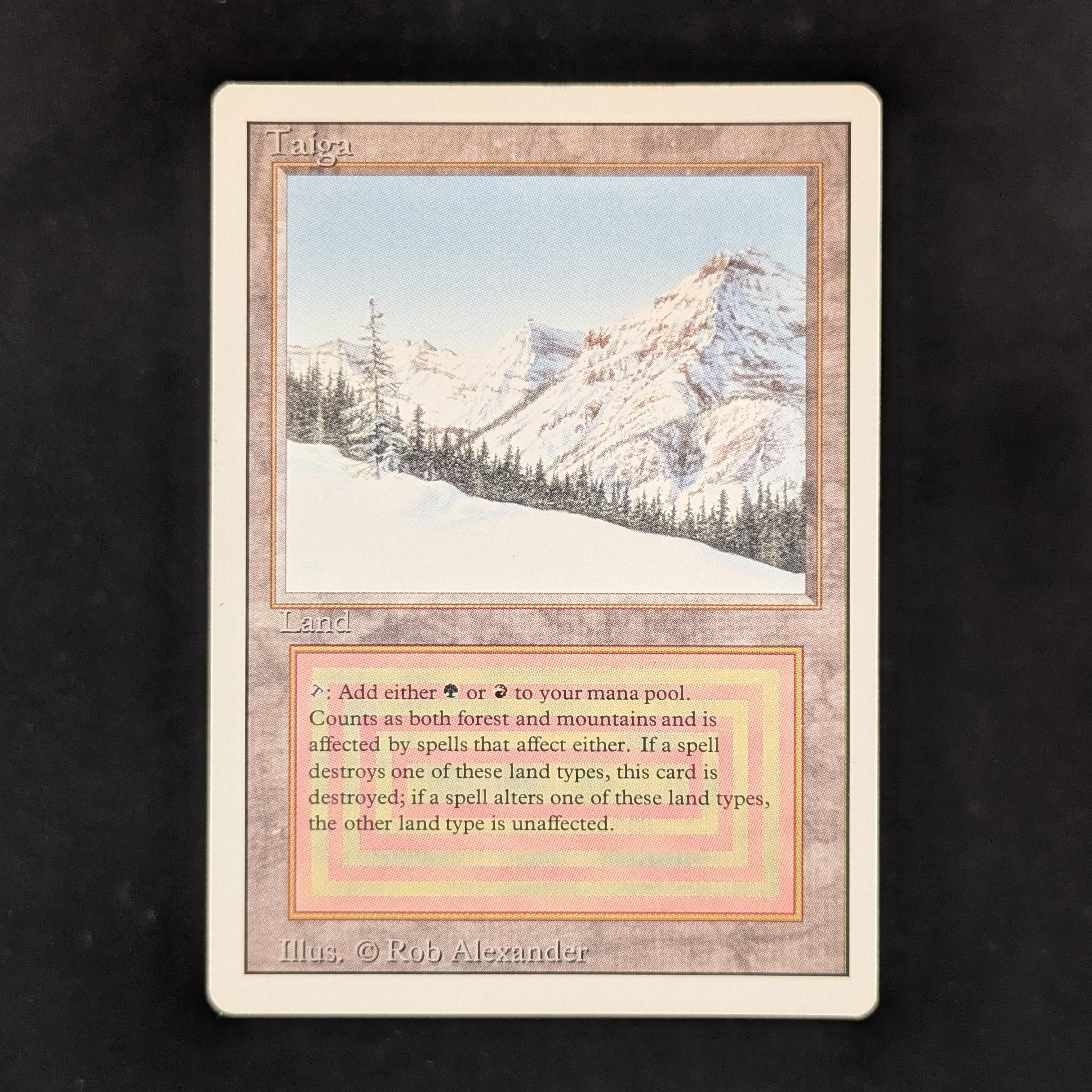 31144_1.jpg?v=1770816575&width