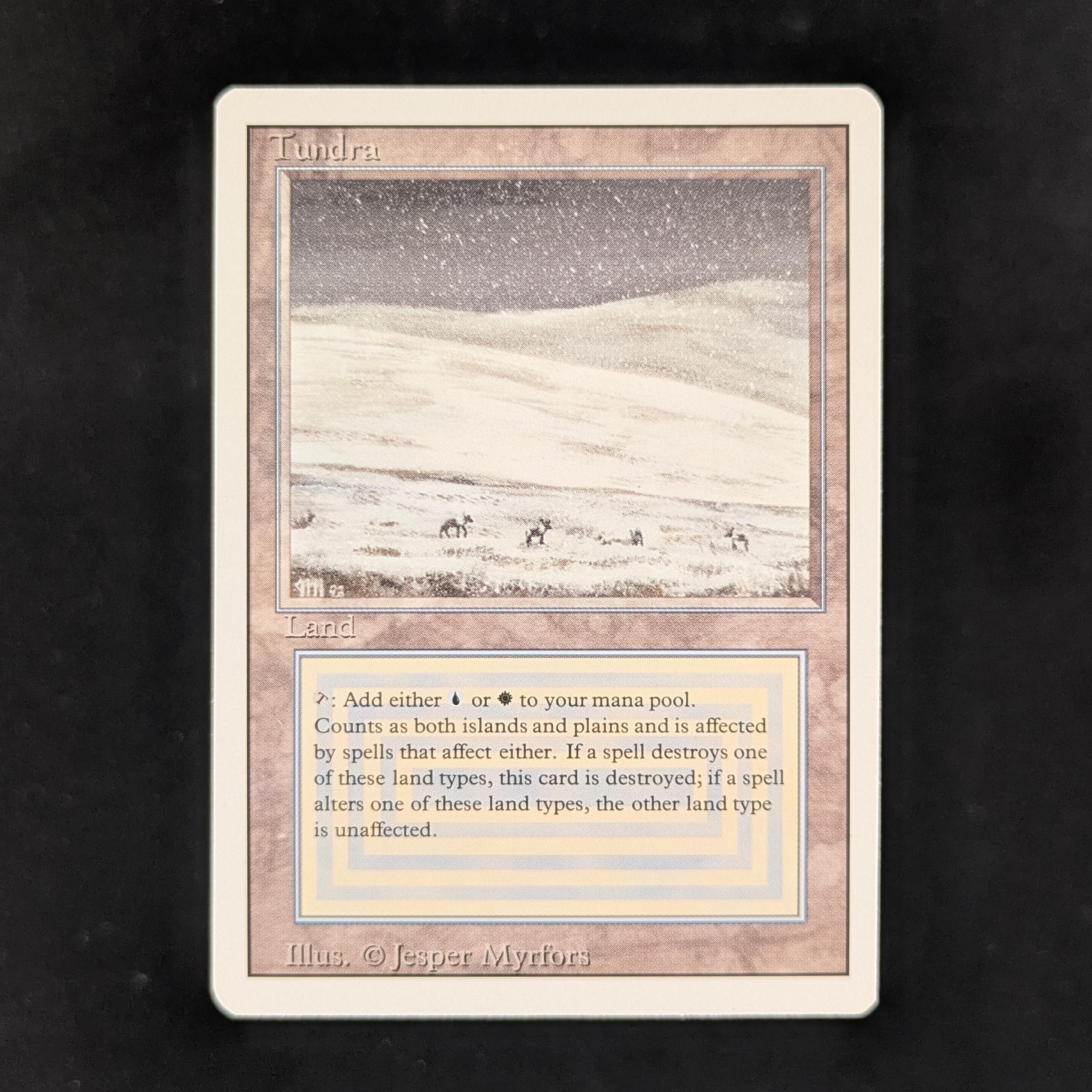 MTG Singles - Tundra - Revised - NM - 31147