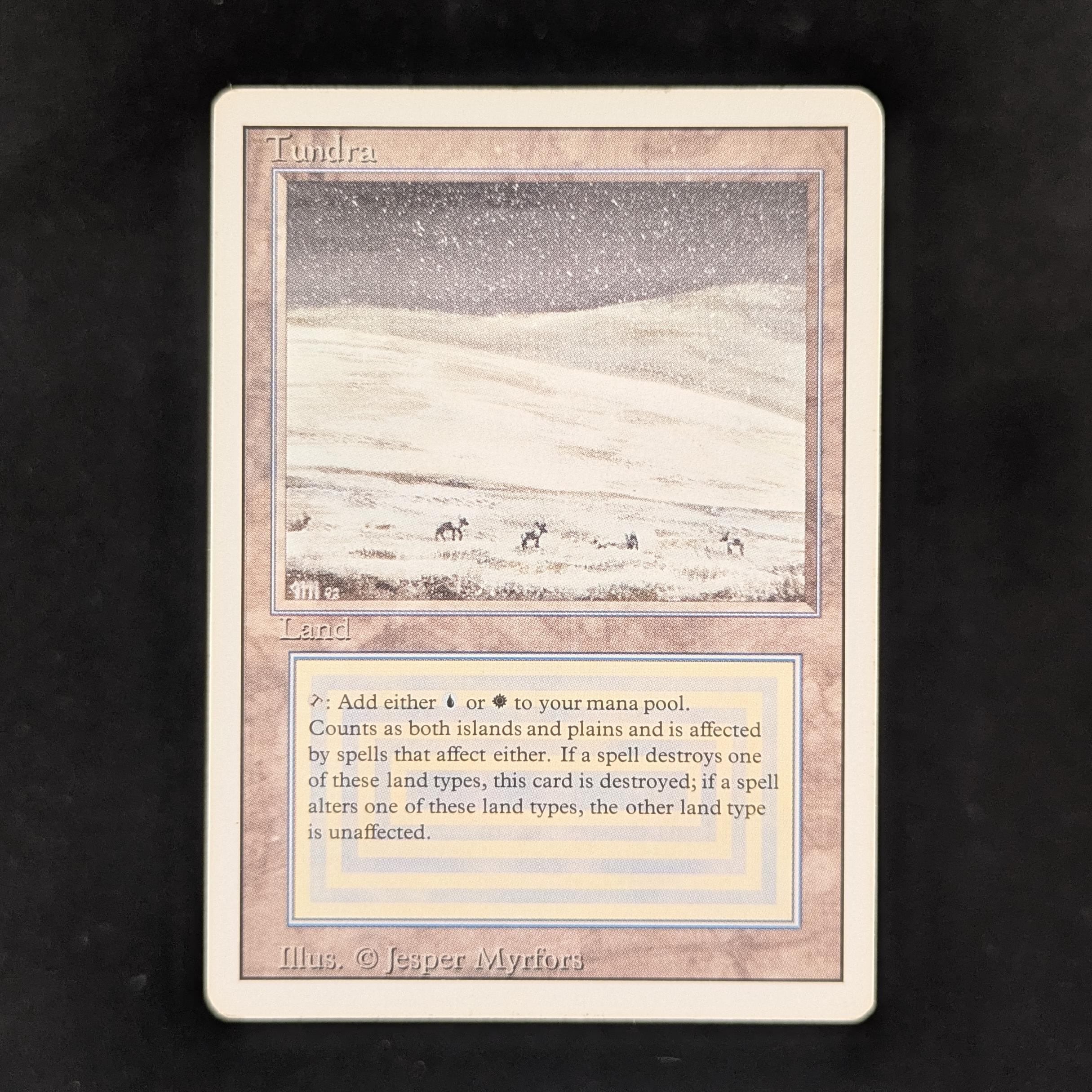 MTG Singles - Tundra - Revised - LP - DENT - 31149