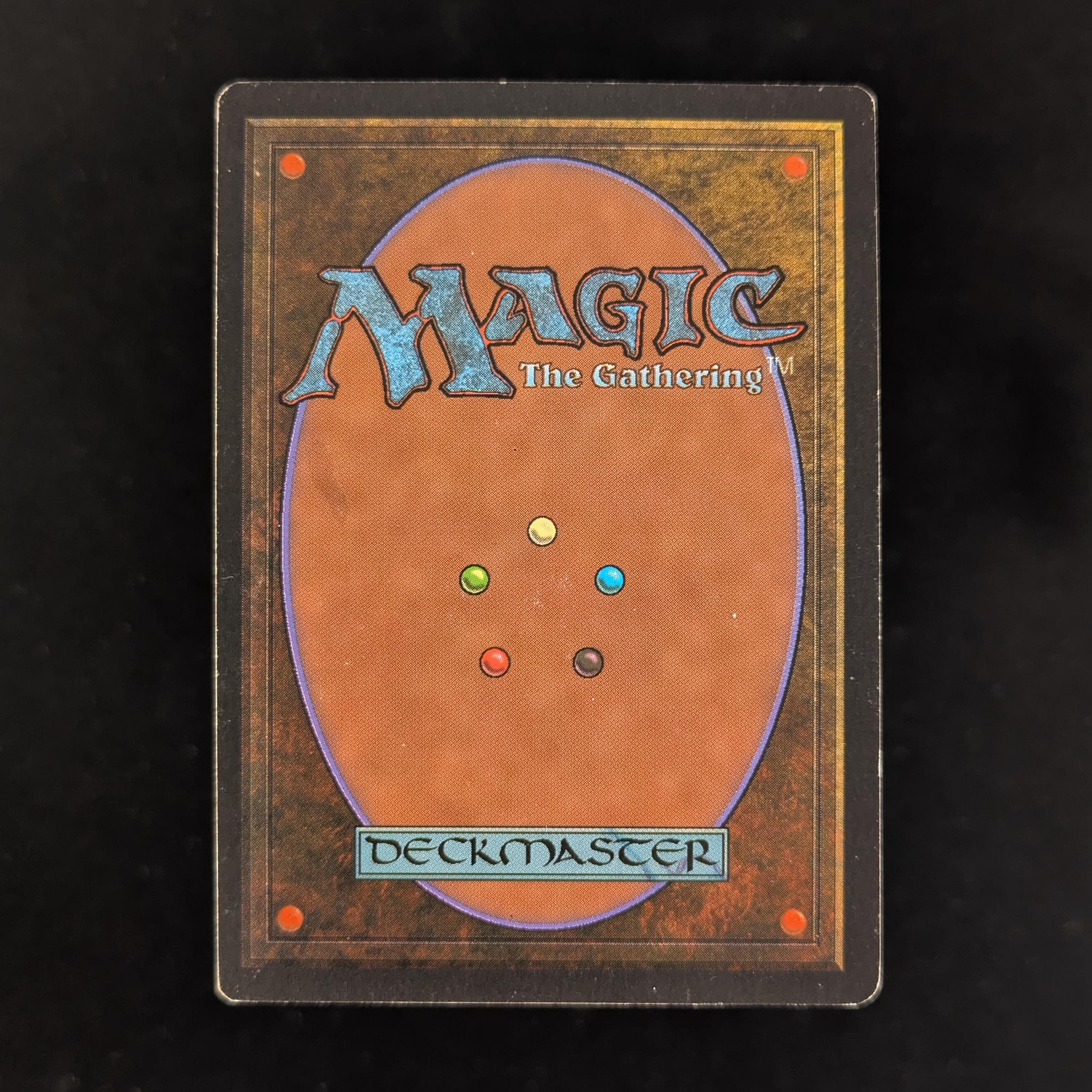 MTG Singles - Bayou - Revised - 
