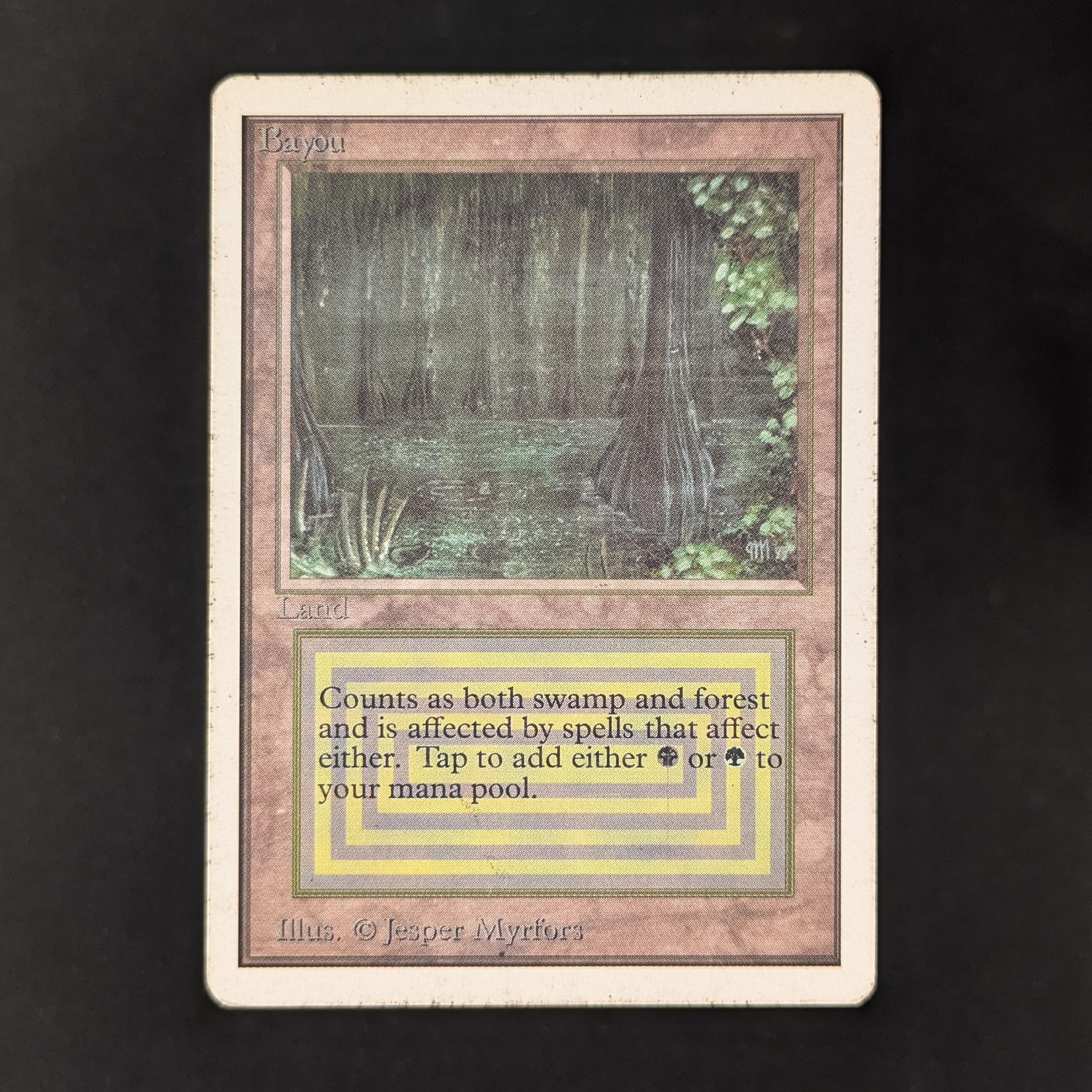 MTG Singles - Bayou - Unlimited - PL - 31231