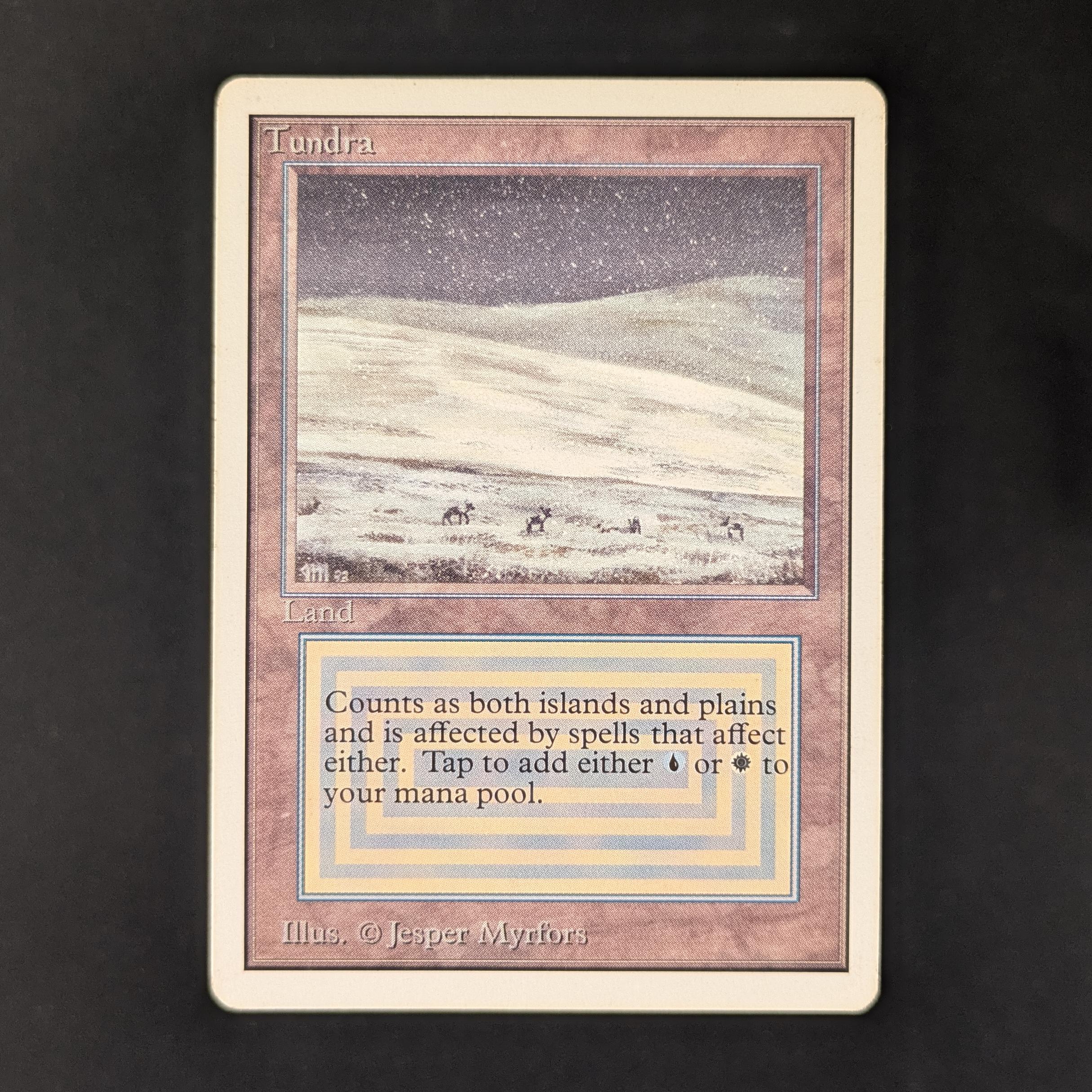 MTG Singles - Tundra - Unlimited - PL - 31238