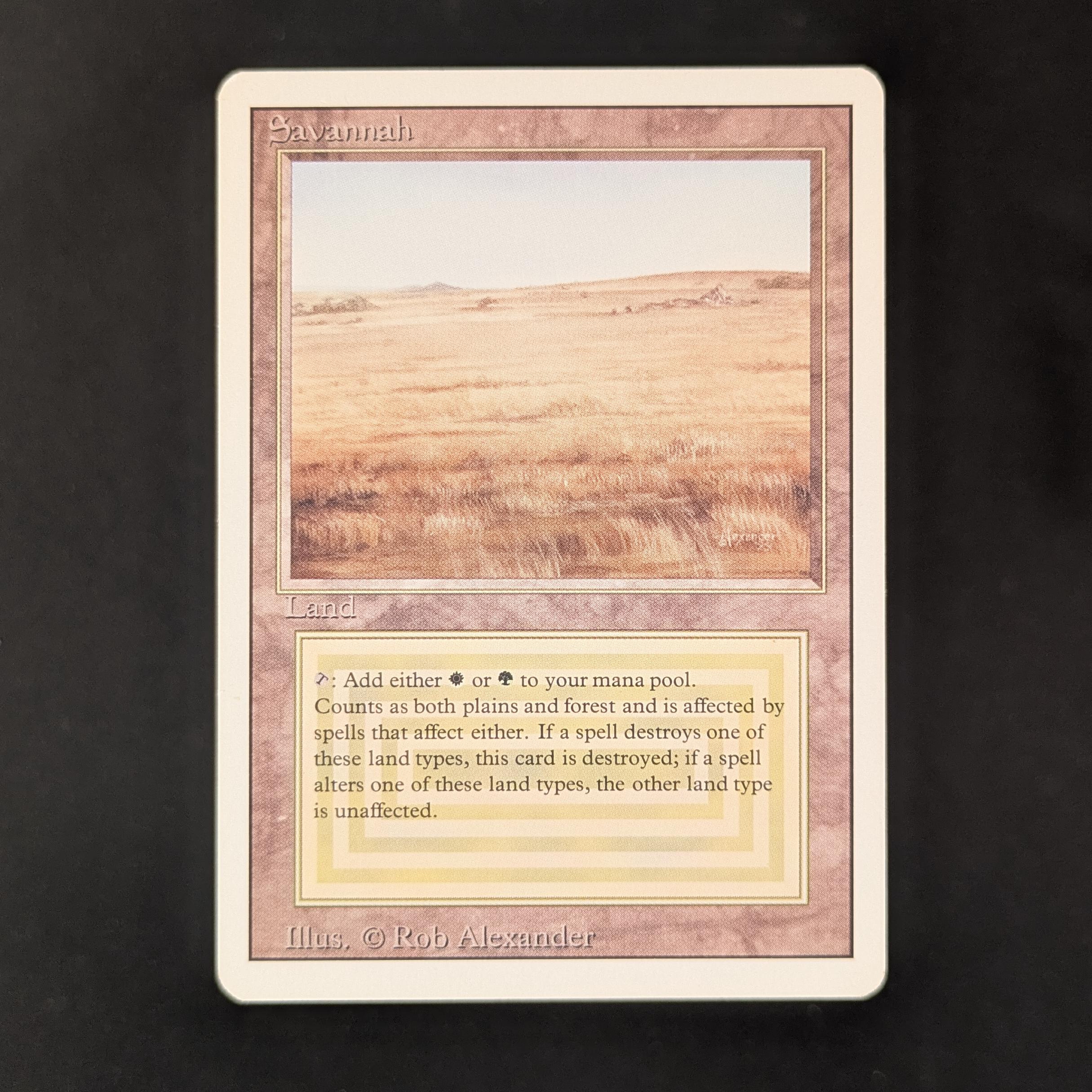 MTG Singles - Savannah - Revised - GD - 31270