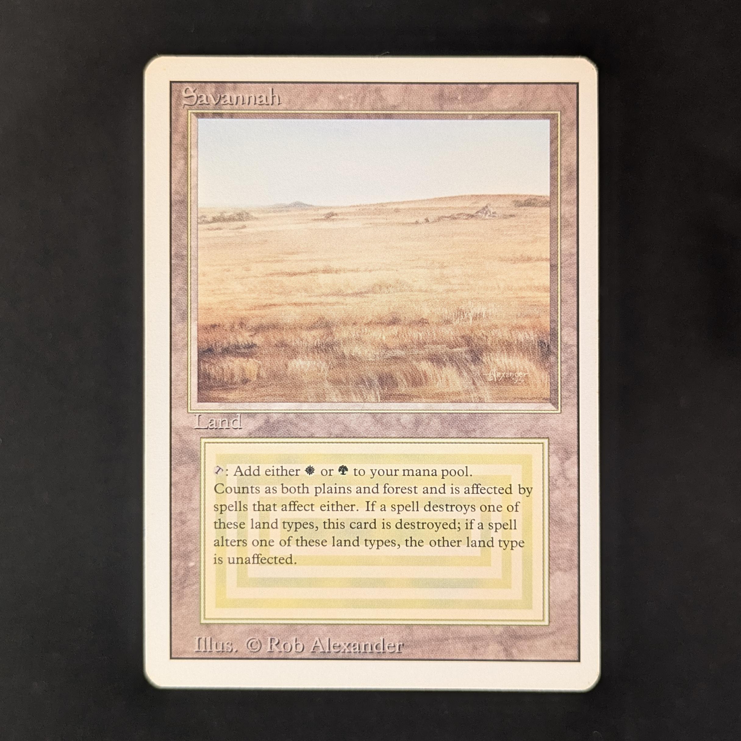 Savannah - Revised
