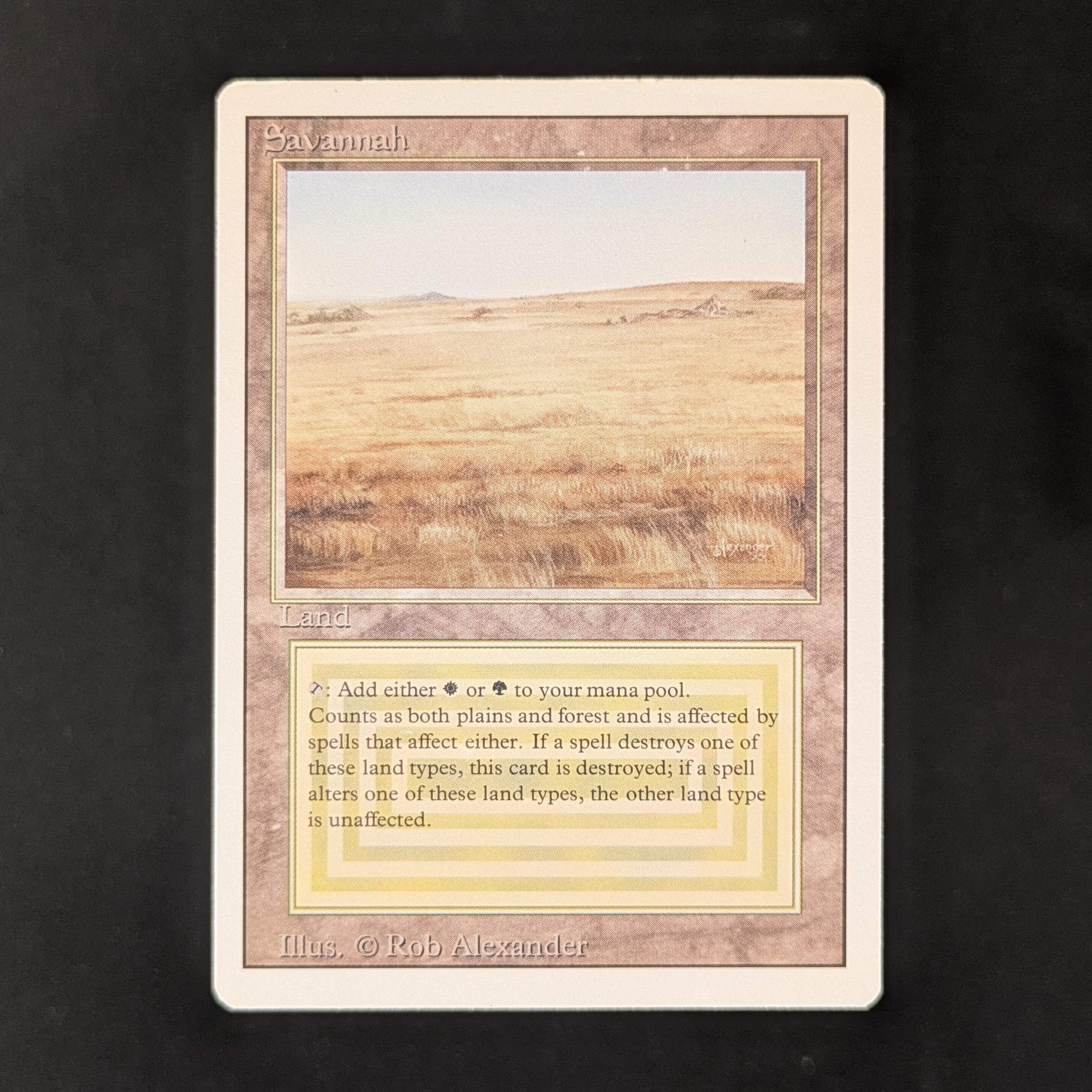 MTG Singles - Savannah - Revised - LP - 31278