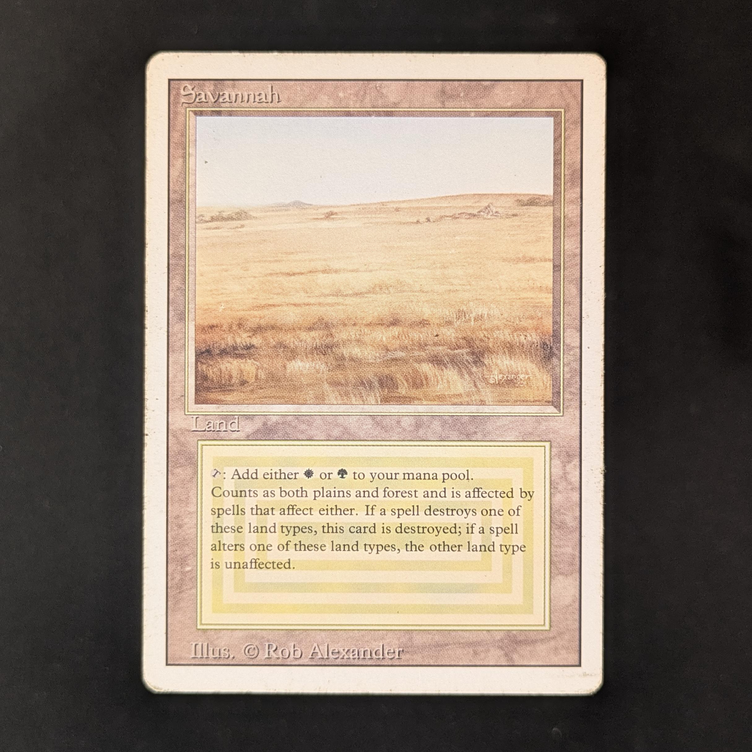 MTG Singles - Savannah - Revised - PL - 31280