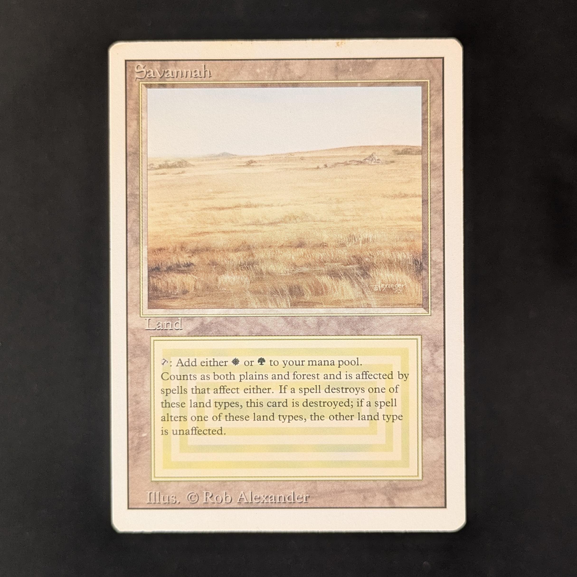 MTG Singles - Savannah - Revised - PL - 31281