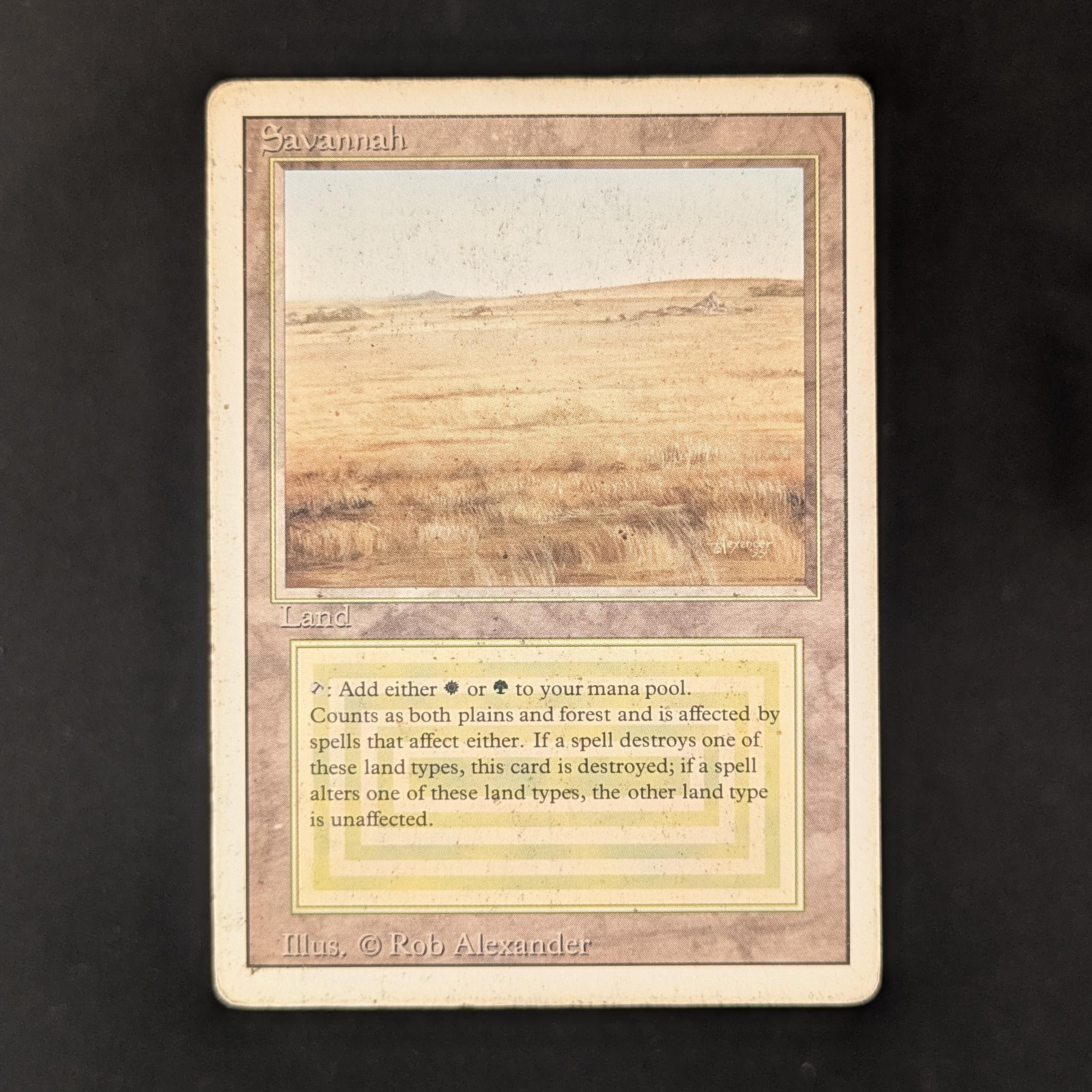 MTG Singles - Savannah - Revised - PO - 31282