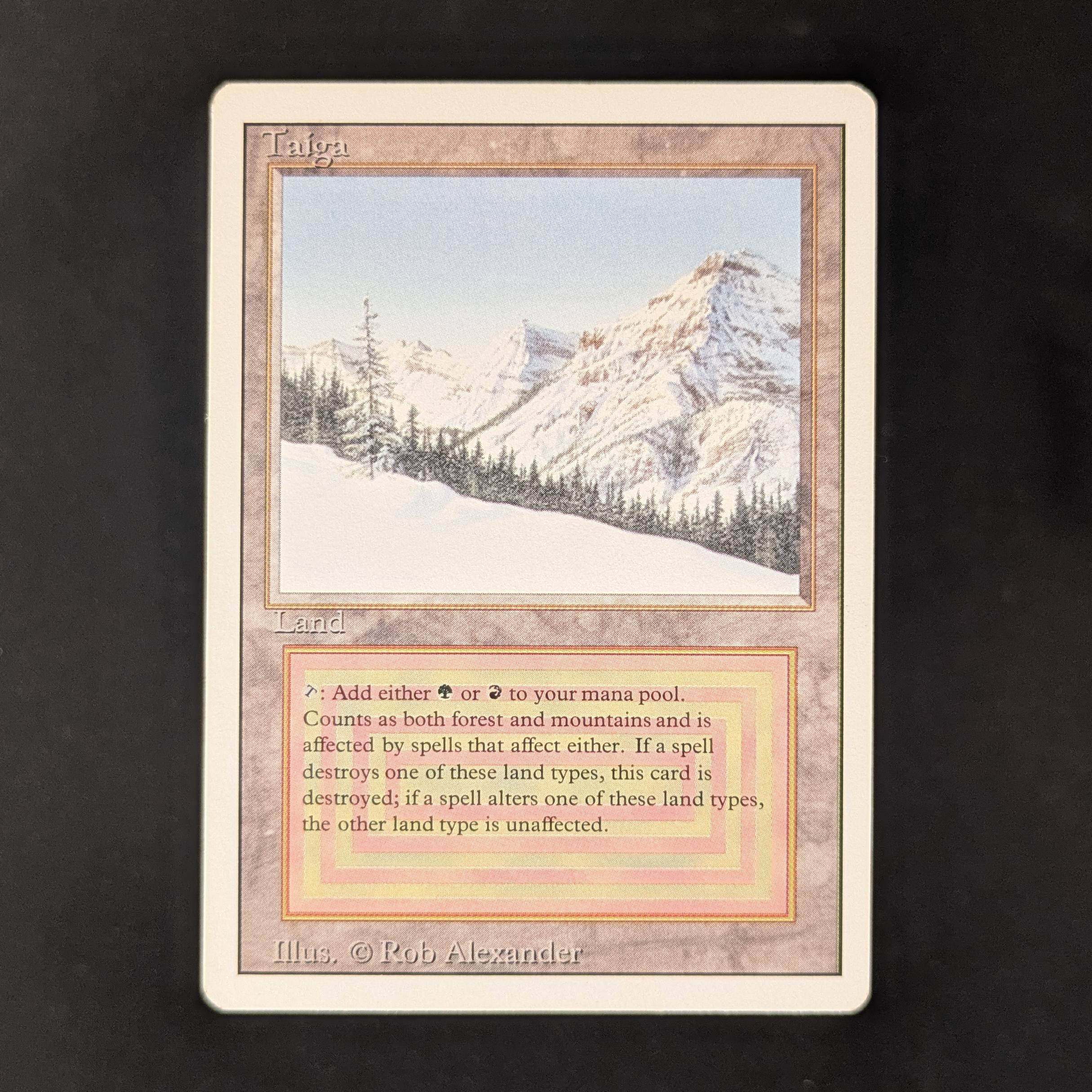 31286_1.jpg?v=1772025292&width