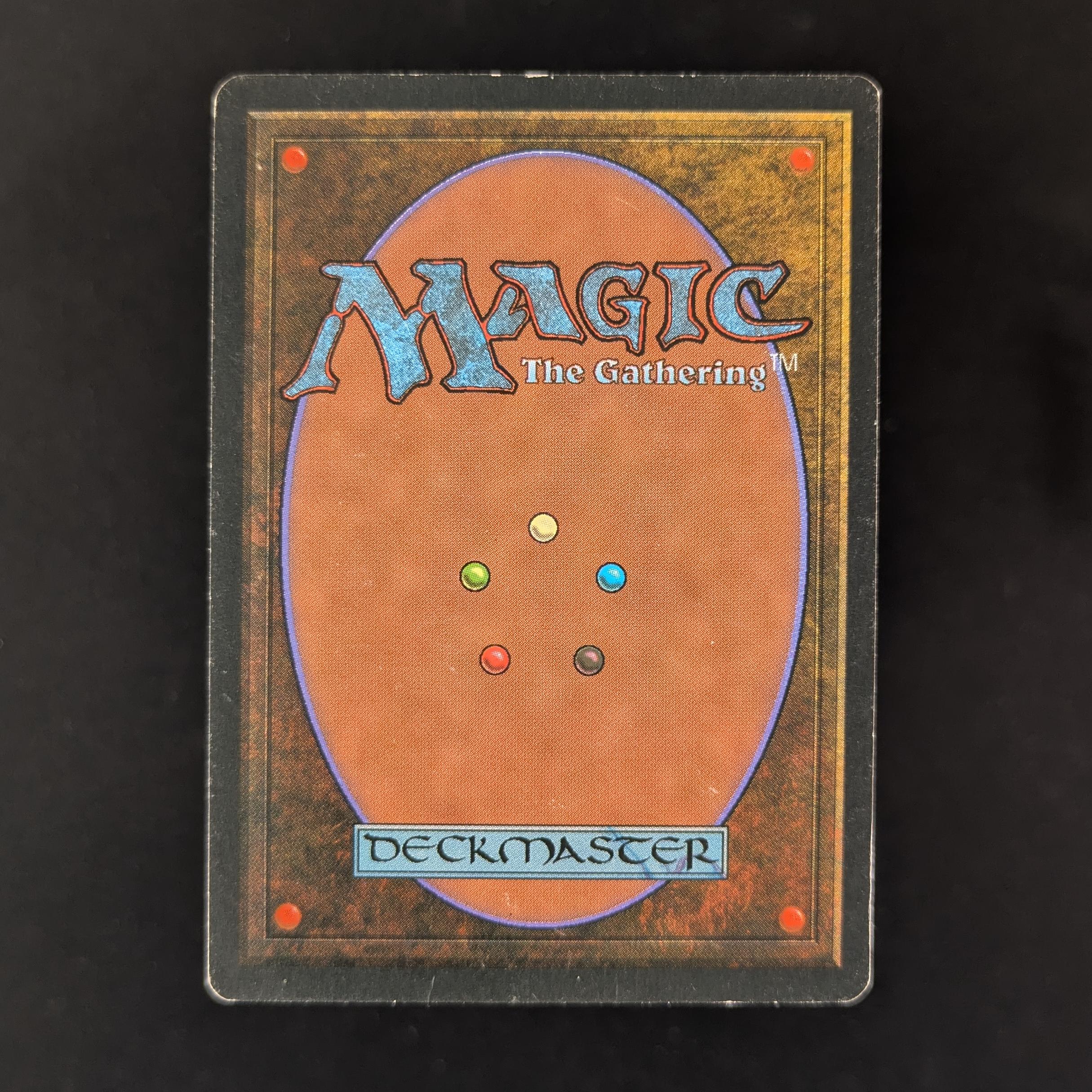 MTG Singles - Bayou - Foreign Black Bordered - 