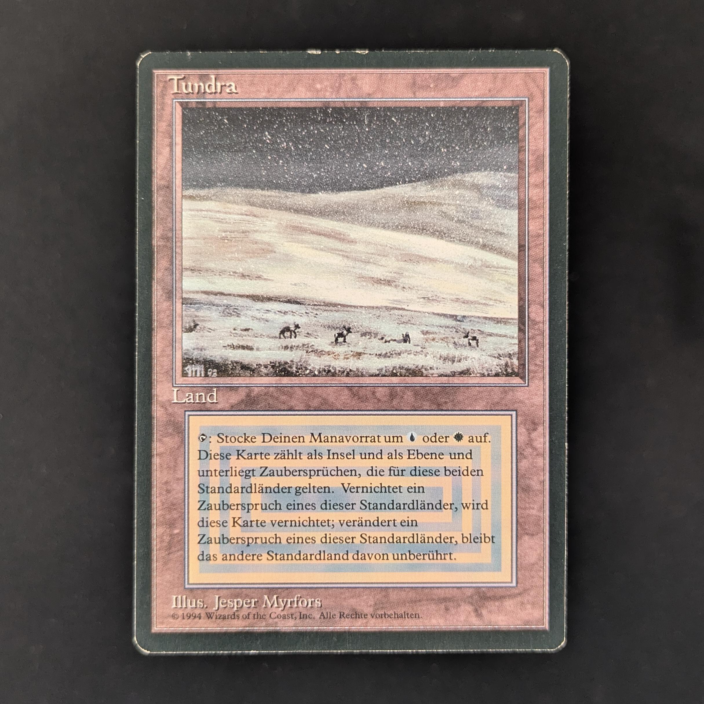 MTG Singles - Tundra - Foreign Black Bordered - German - GD - 31325