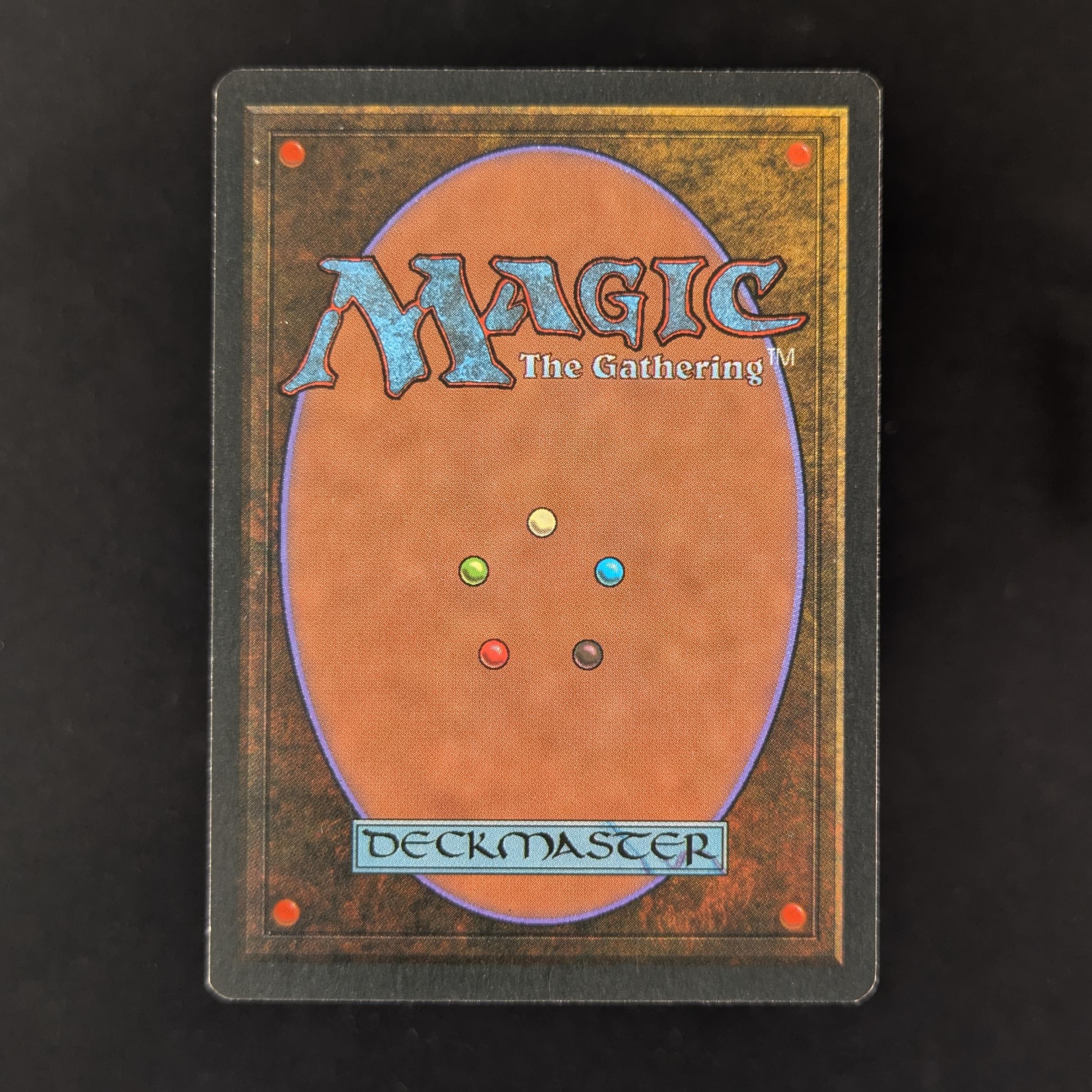 MTG Singles - Bayou - Foreign Black Bordered - 