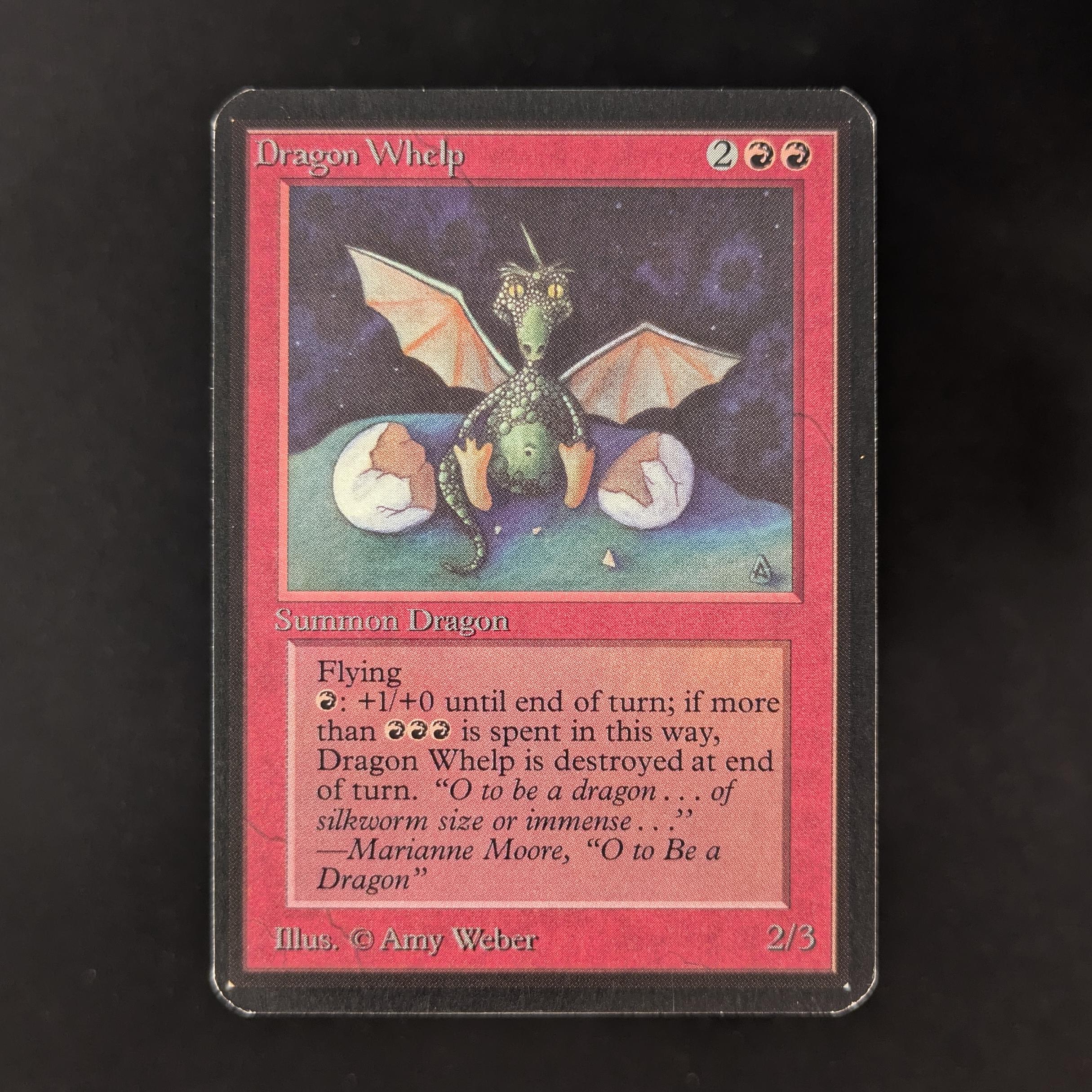 Dragon Whelp - Alpha