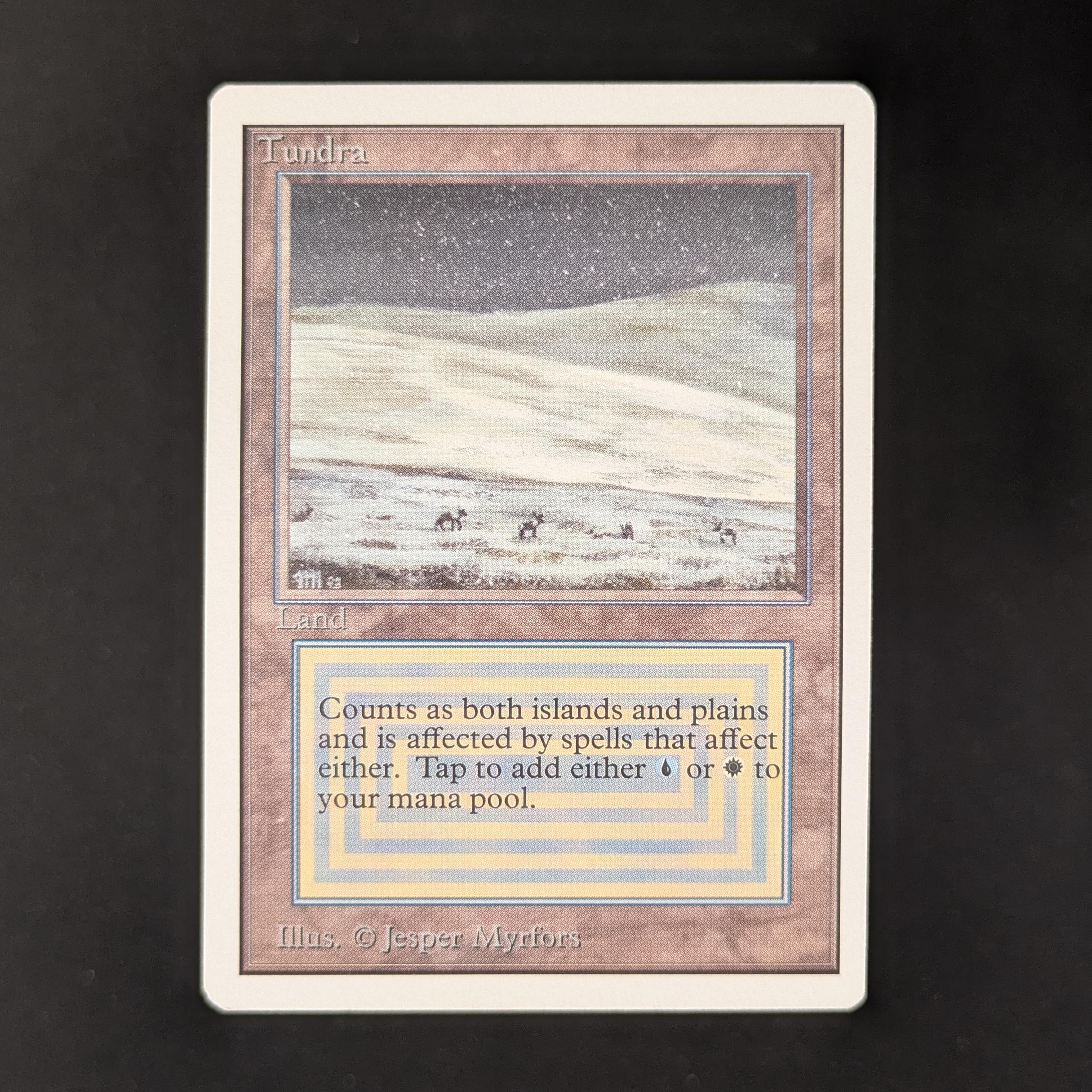 MTG Singles - Tundra - Unlimited - EX - 31412