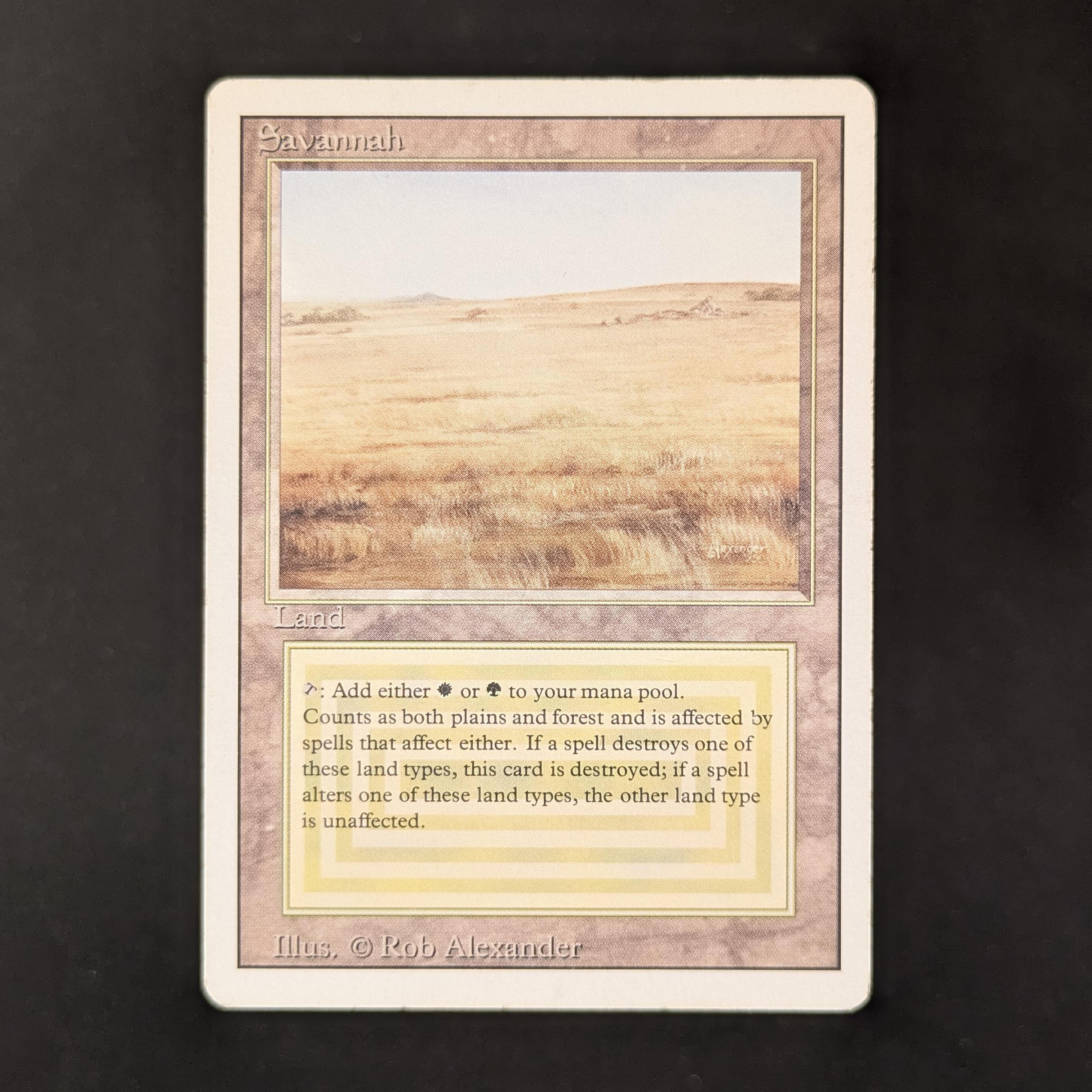 MTG Singles - Savannah - Revised - PL - 31442