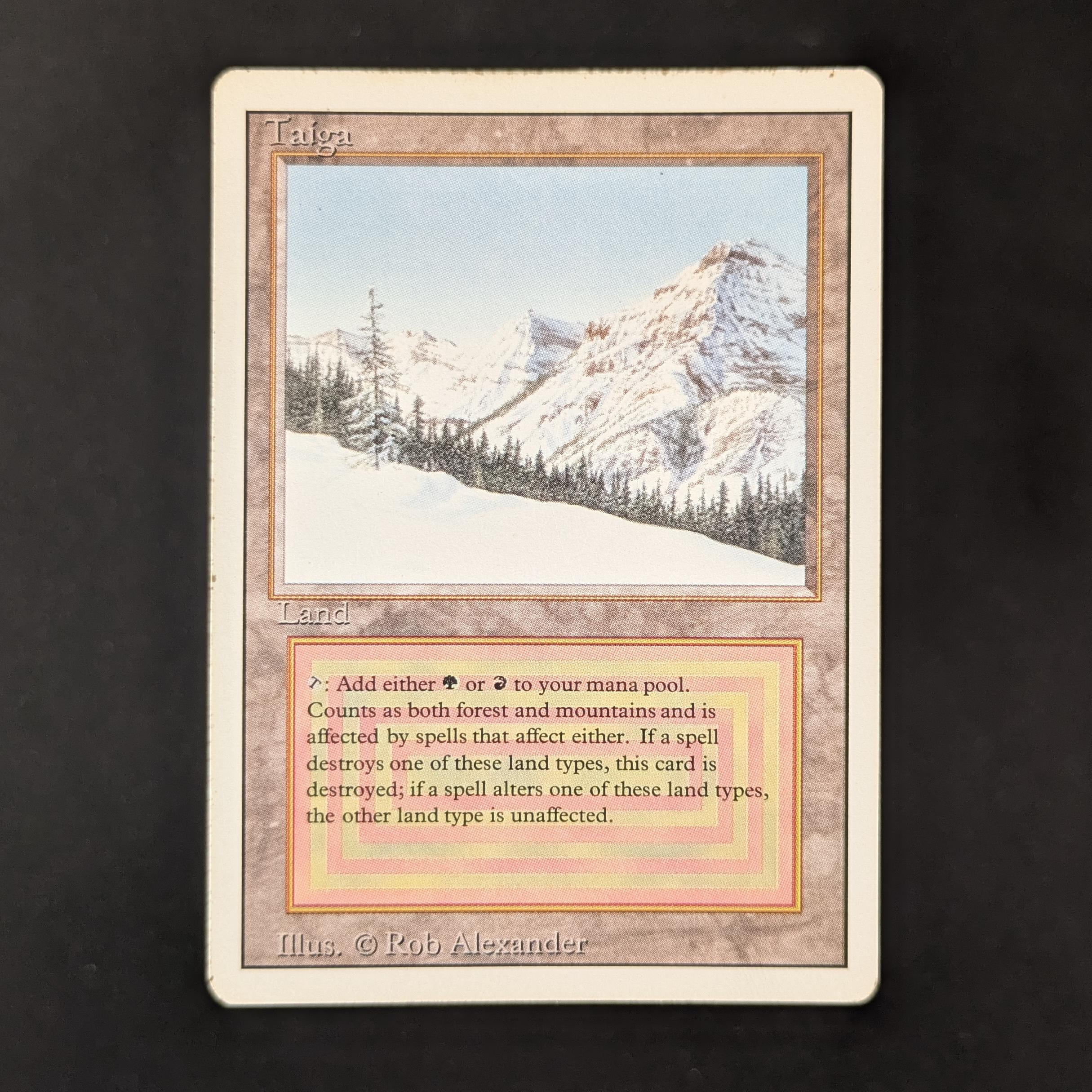 MTG Singles - Taiga - Revised - PL - 31445