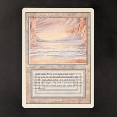 MTG 英語版 Underground Sea 3ED リバイズド RV 土地 R レア デュアル
